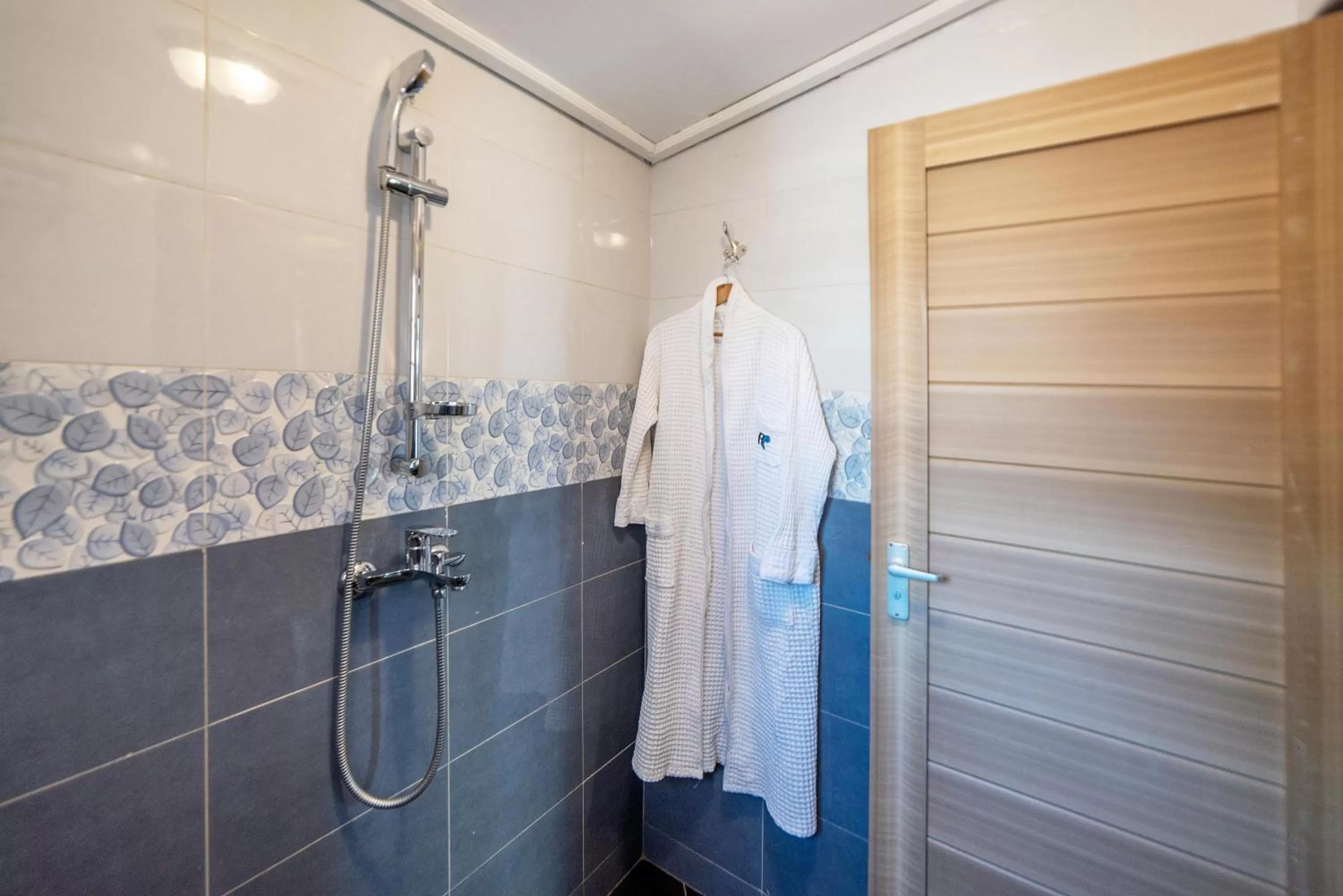 Shower in Afro Park Hotel