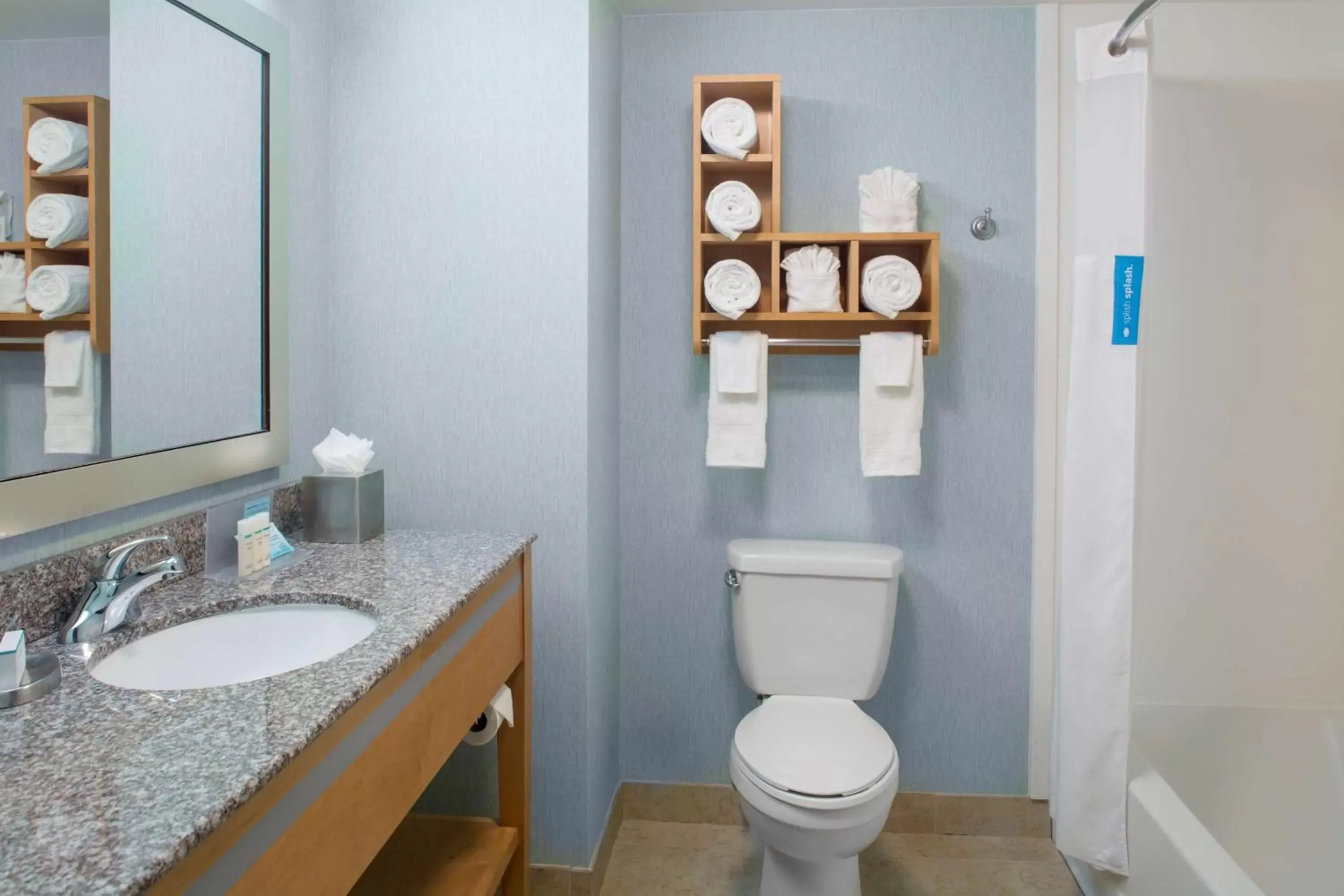 Bathroom in Hampton Inn & Suites Sarasota / Bradenton - Airport