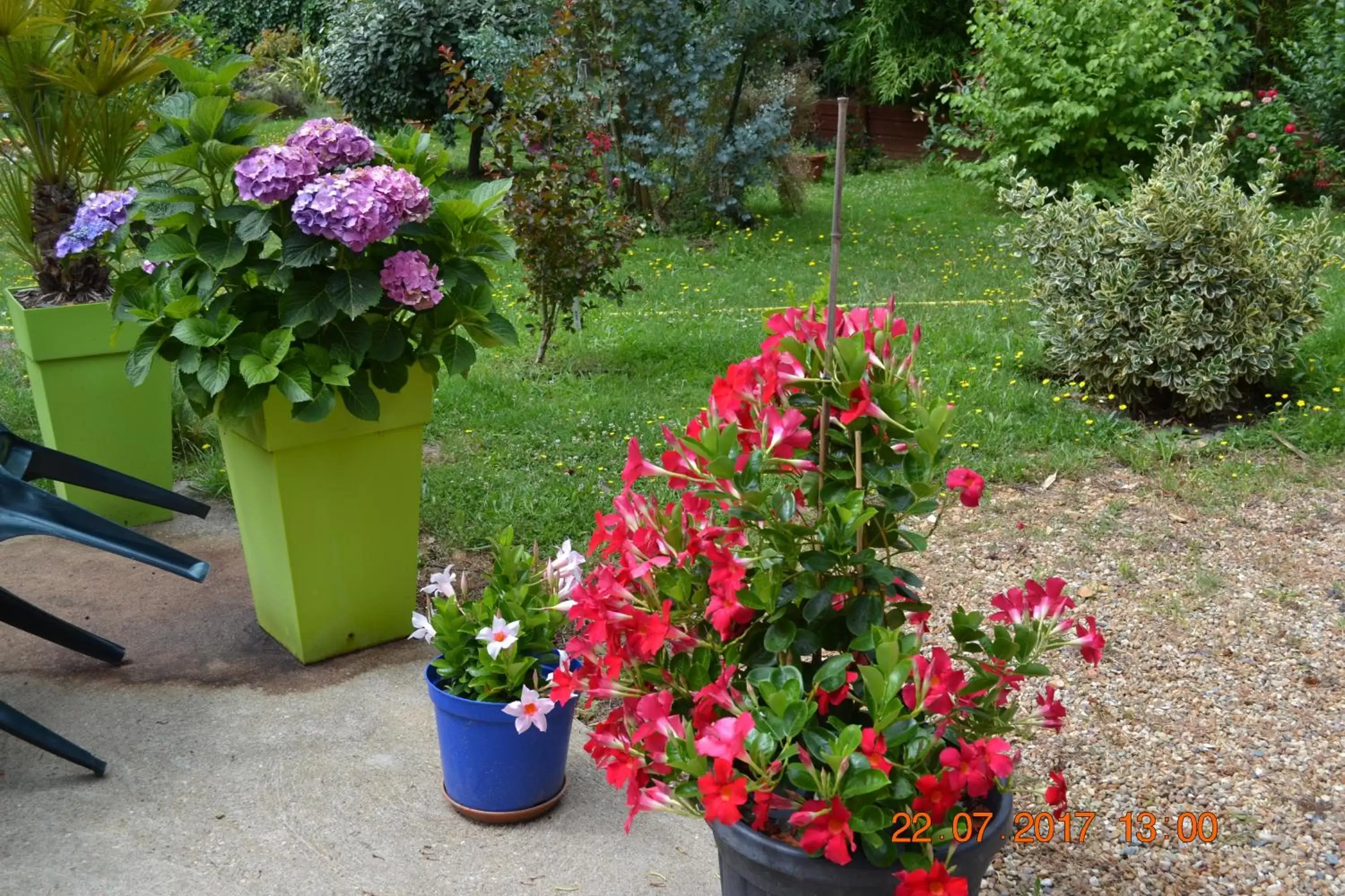 Patio, Garden in Hôtel Le Castel