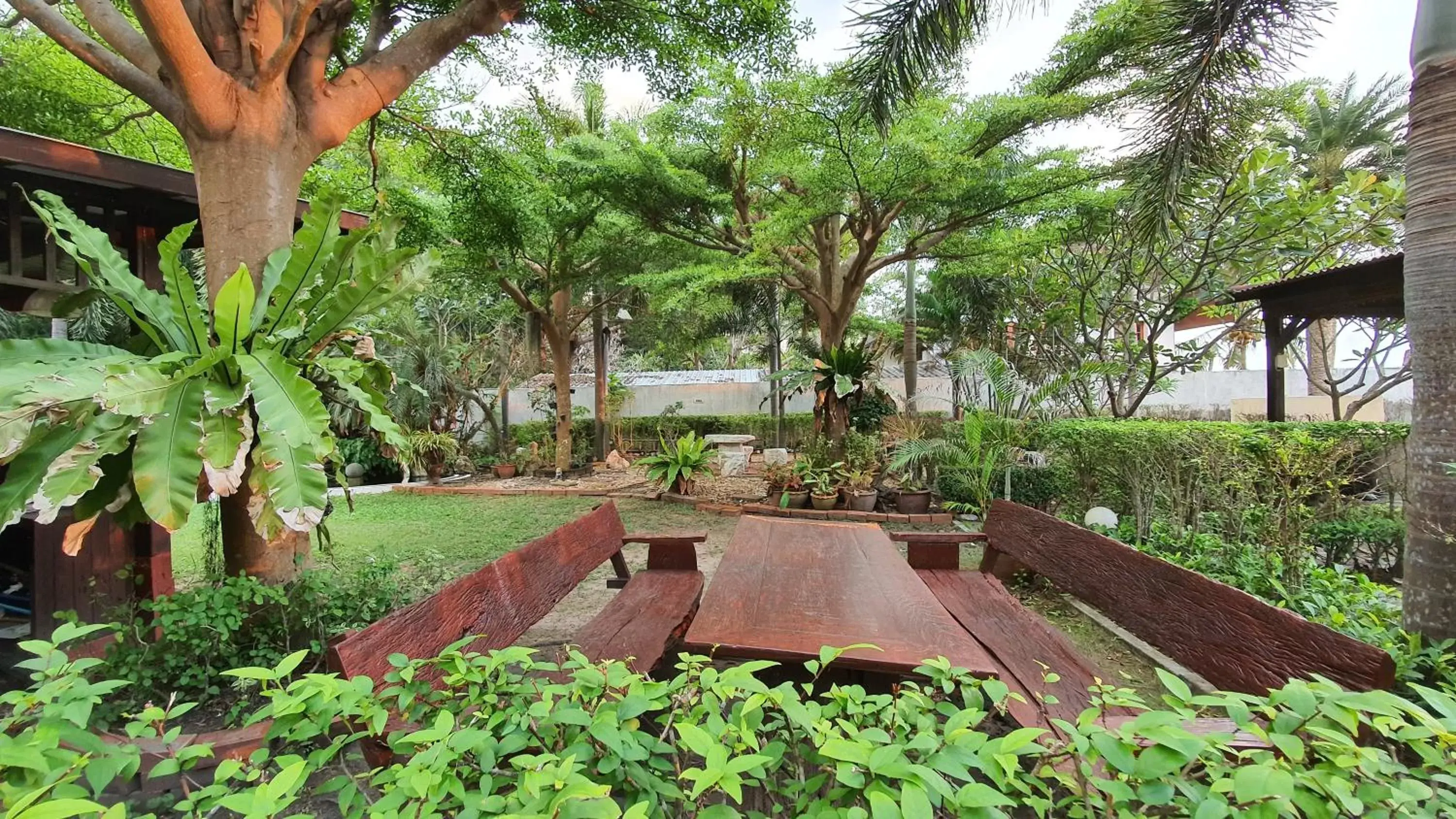 Garden in Serene Sands Health Resort