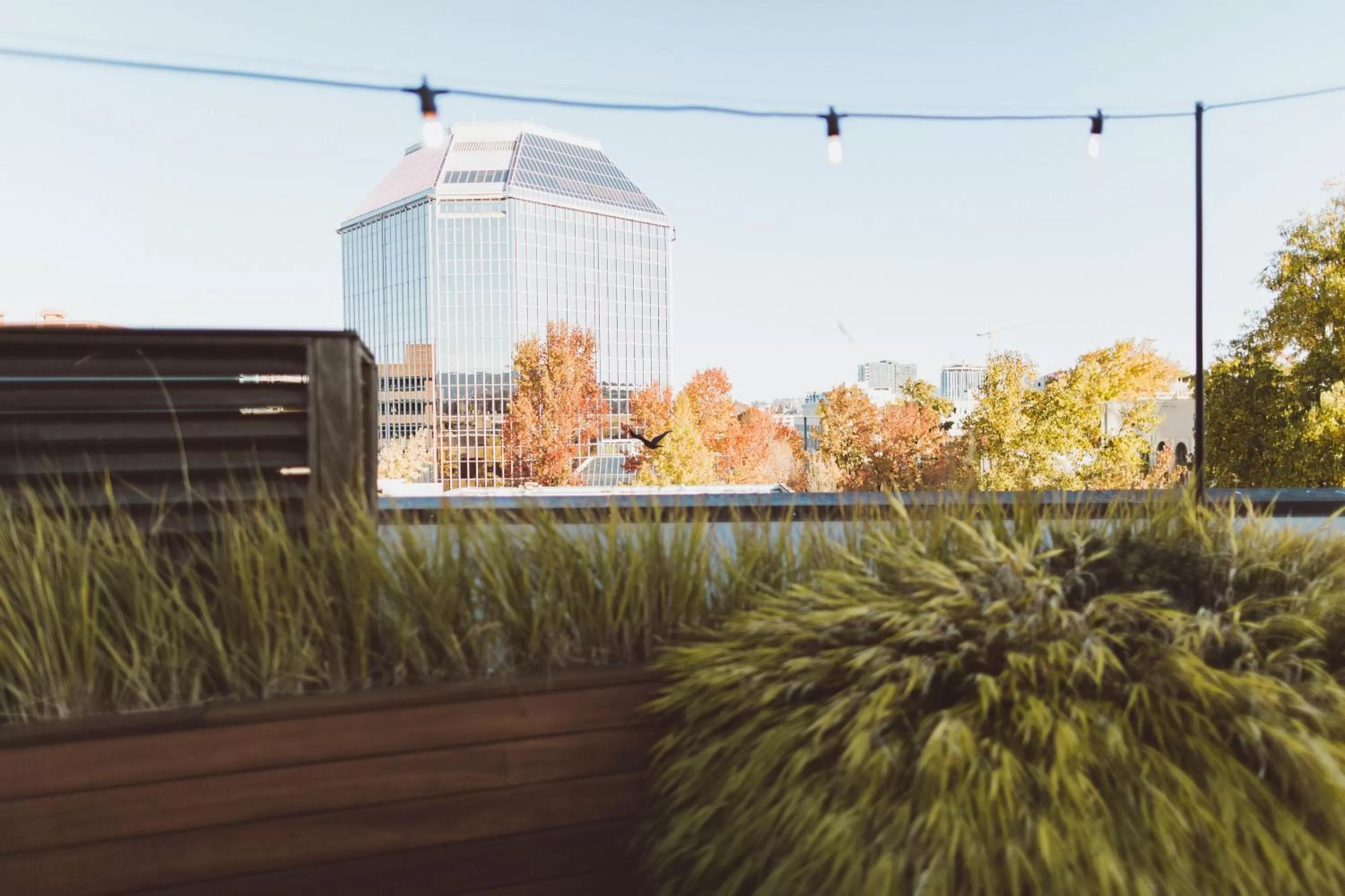 Balcony/Terrace in The Society Hotel