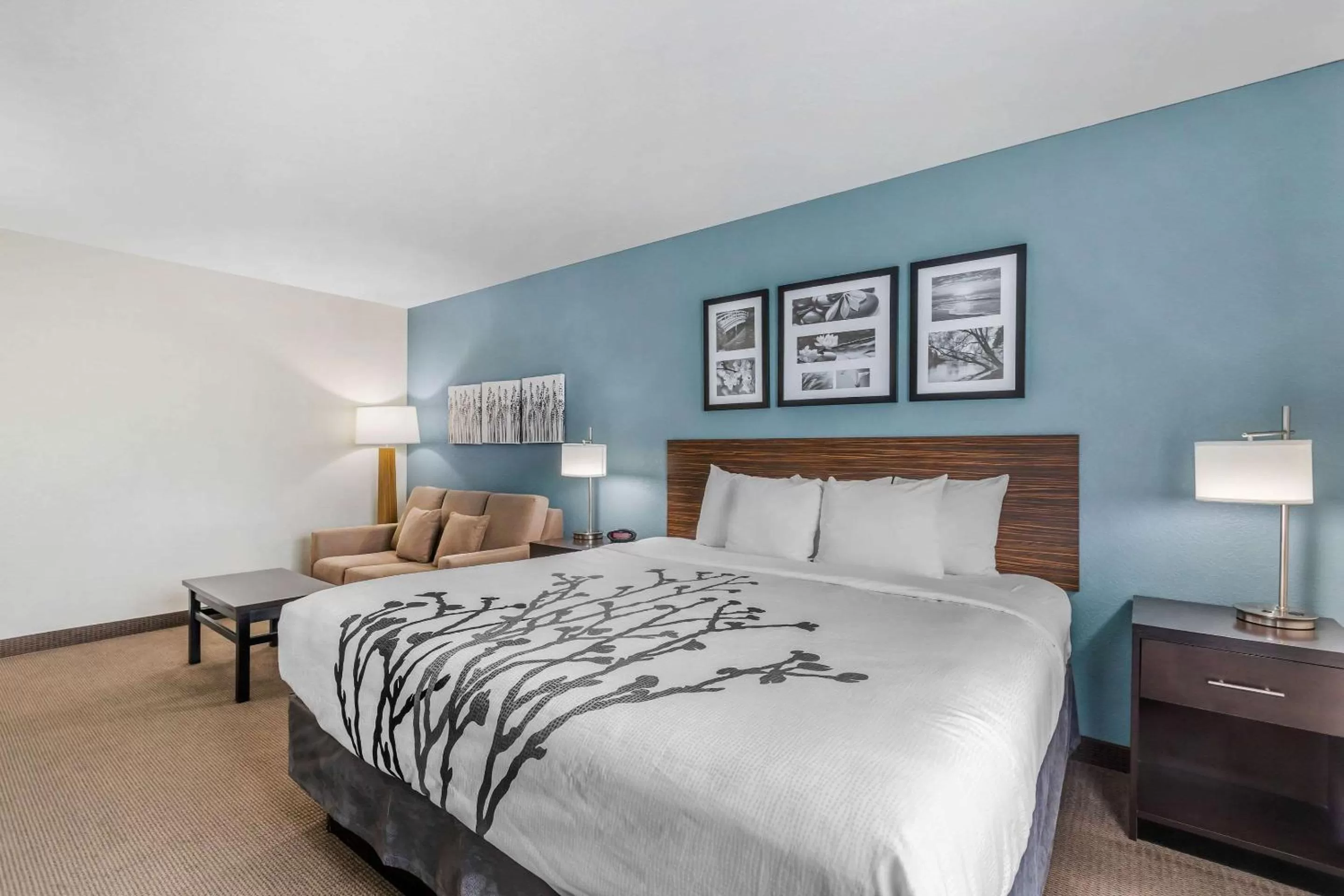 King Suite with Sofa Bed - Non-Smoking in Sleep Inn & Suites Ames near ISU Campus