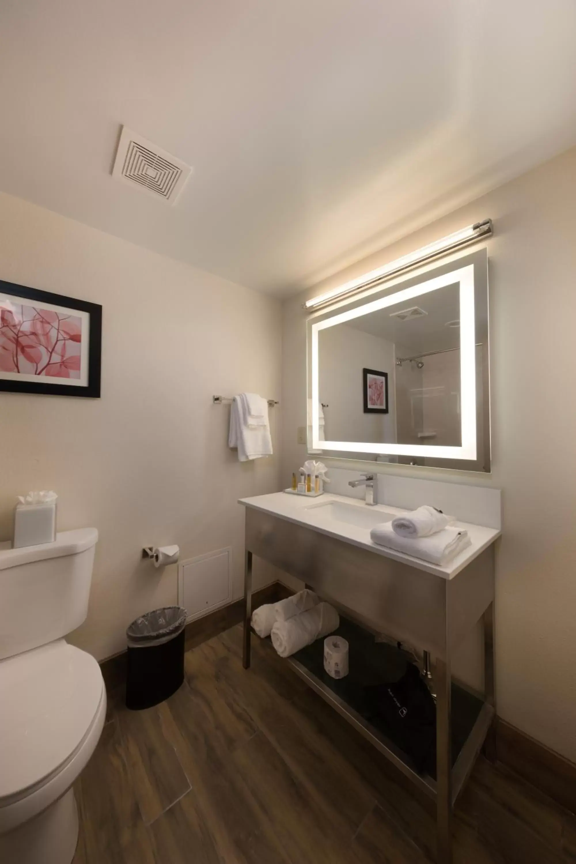 Bathroom in Brookfield- Milwaukee Hotel