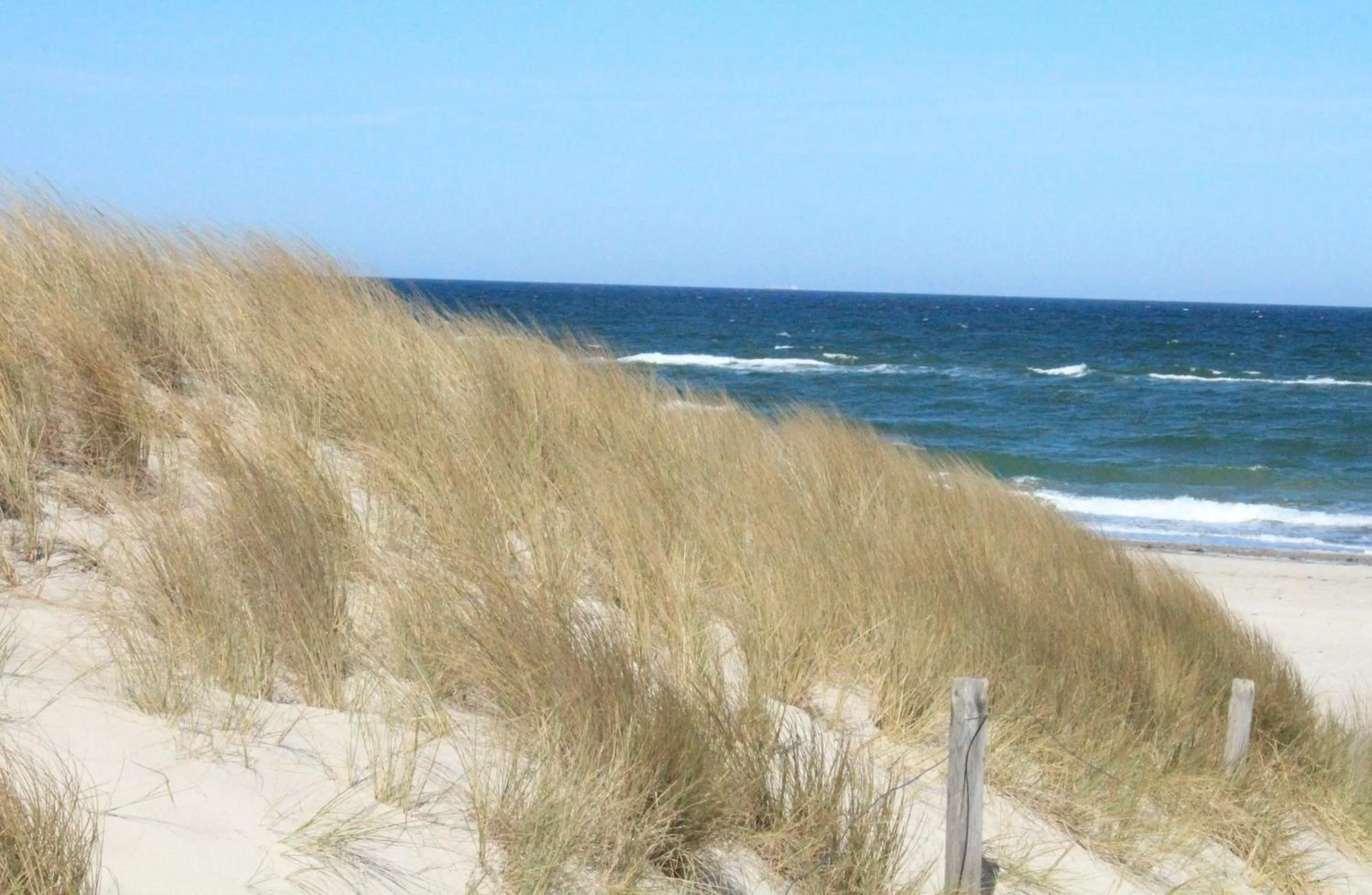 Beach in Ostseehotel Dierhagen