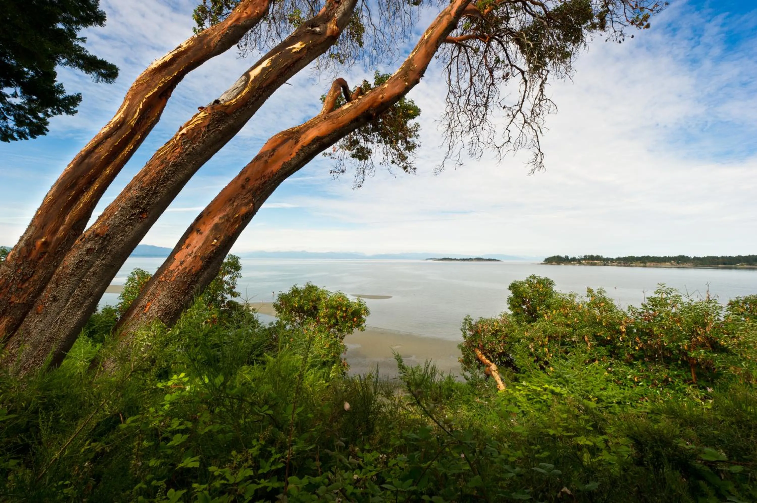 View (from property/room) in Tigh-Na-Mara Seaside Spa Resort