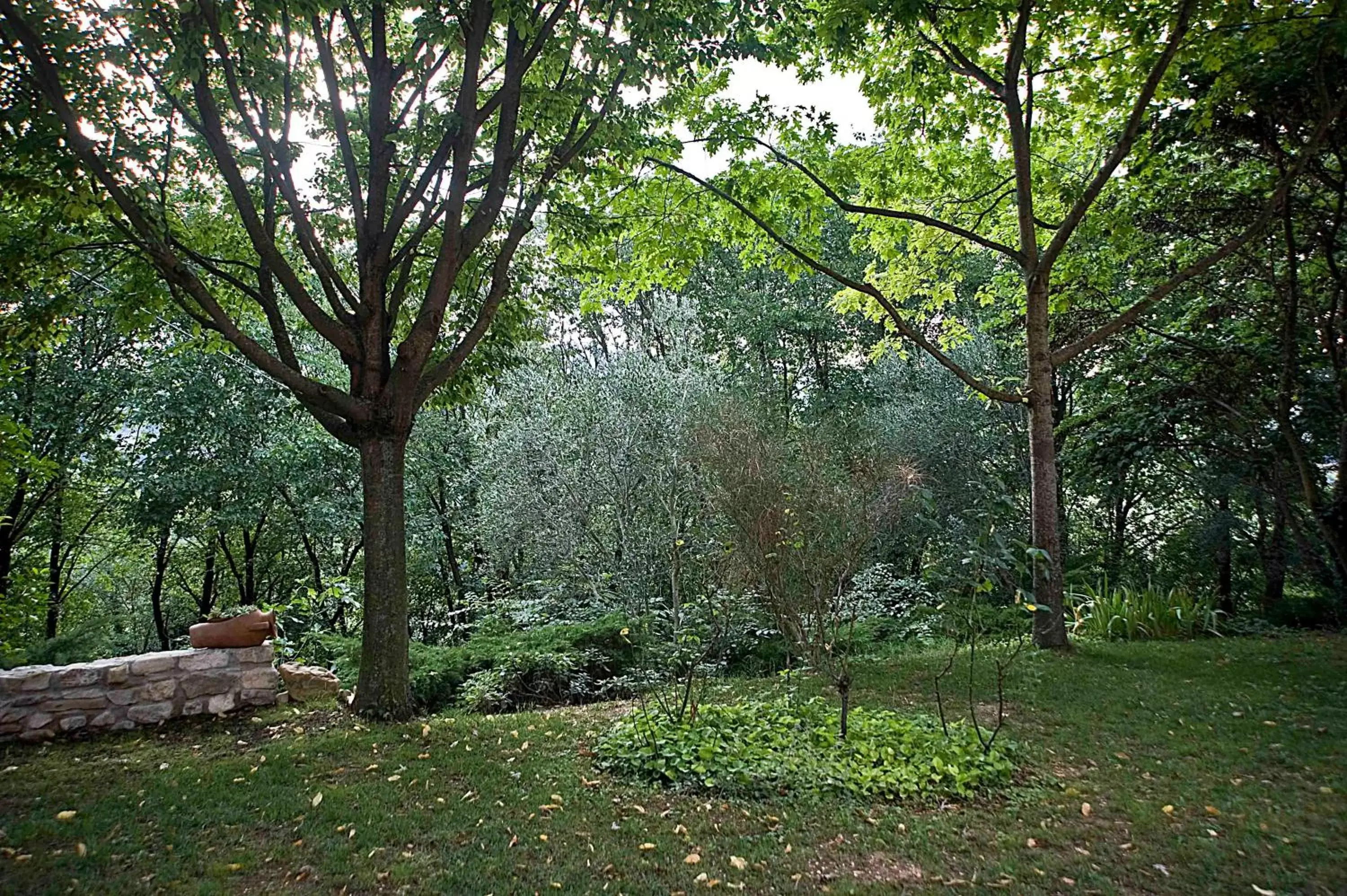 Garden in Casale del Monsignore