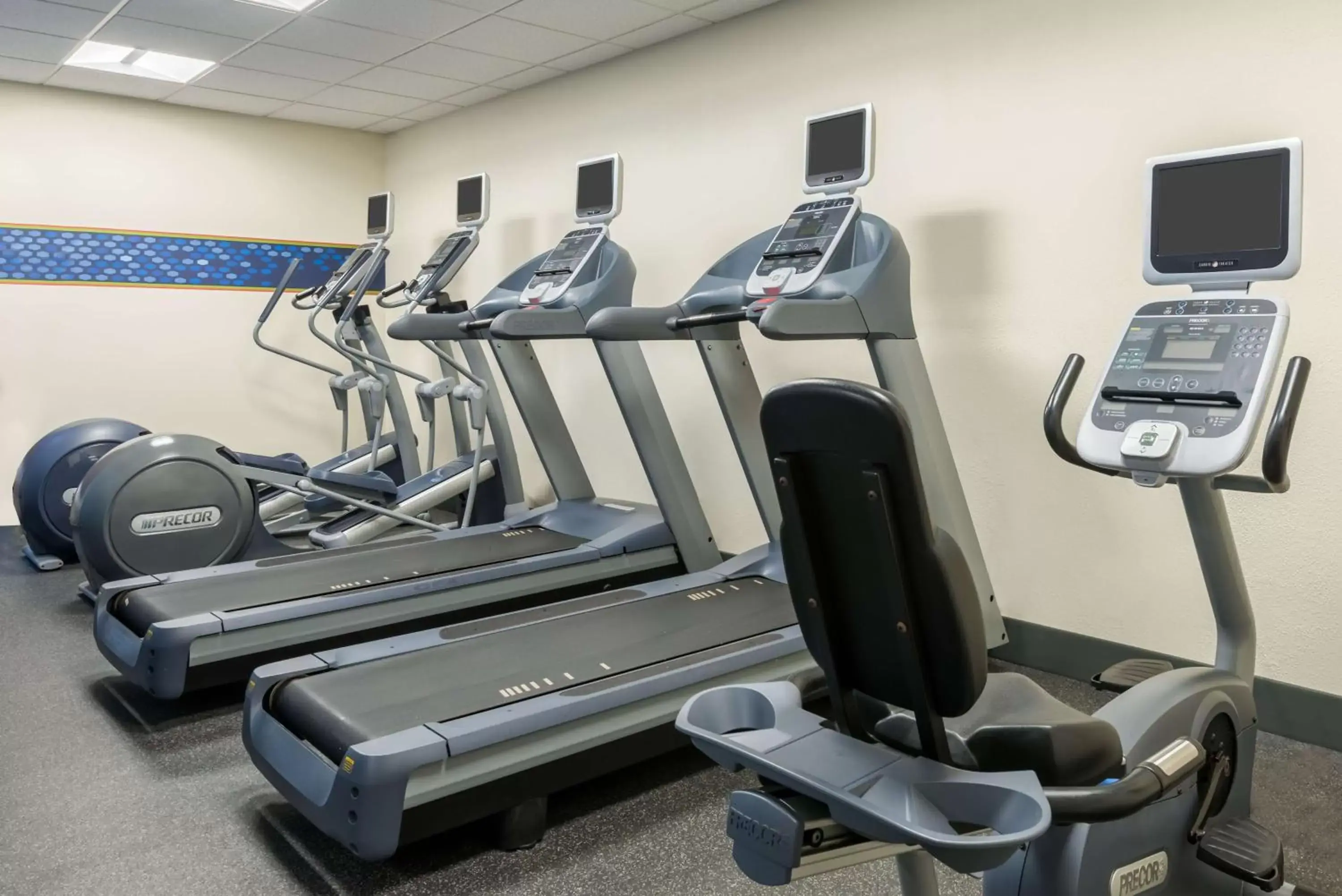Fitness centre/facilities, Fitness Center/Facilities in Hampton Inn Boston / Marlborough