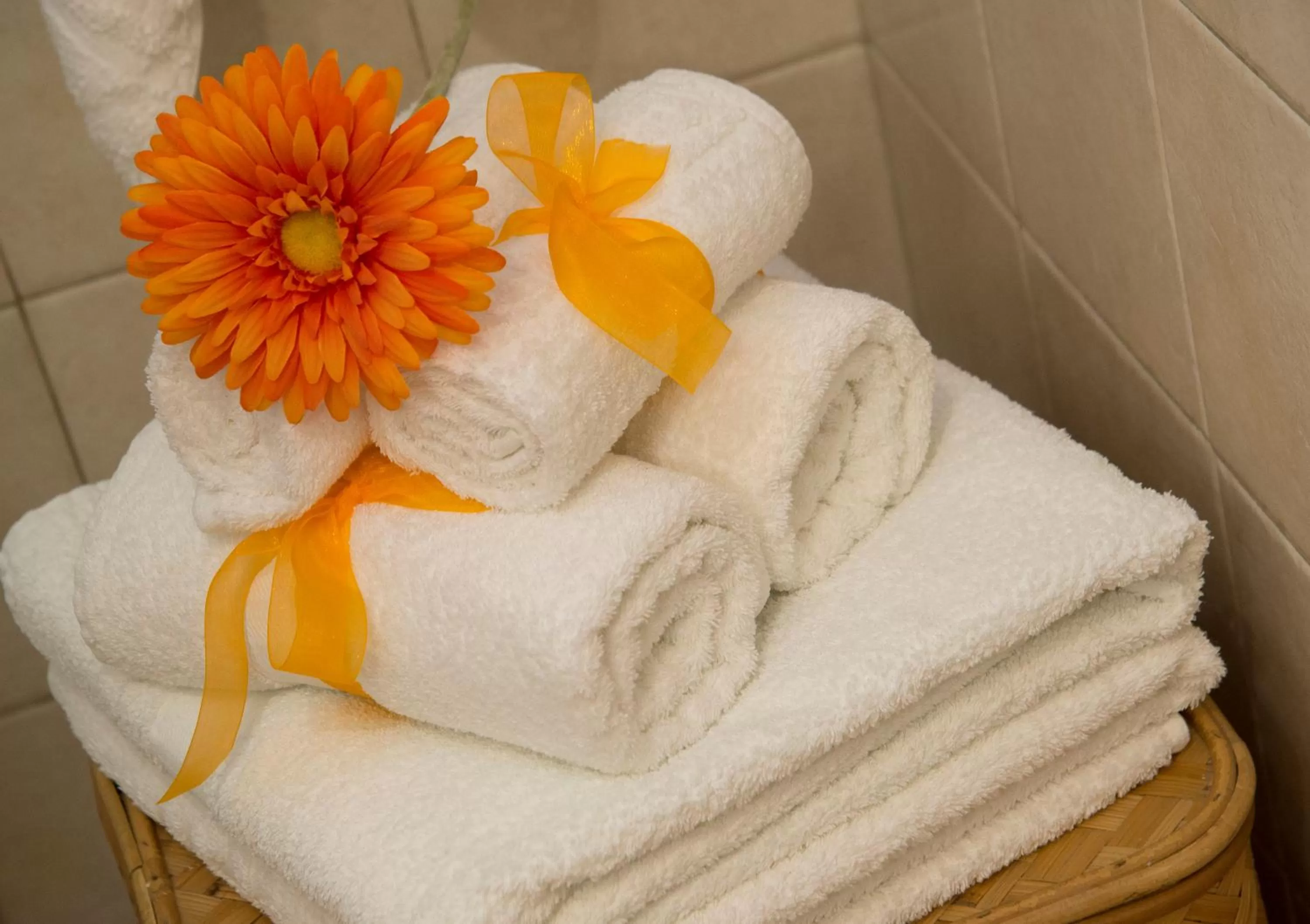 Bathroom in Mamma Lucia