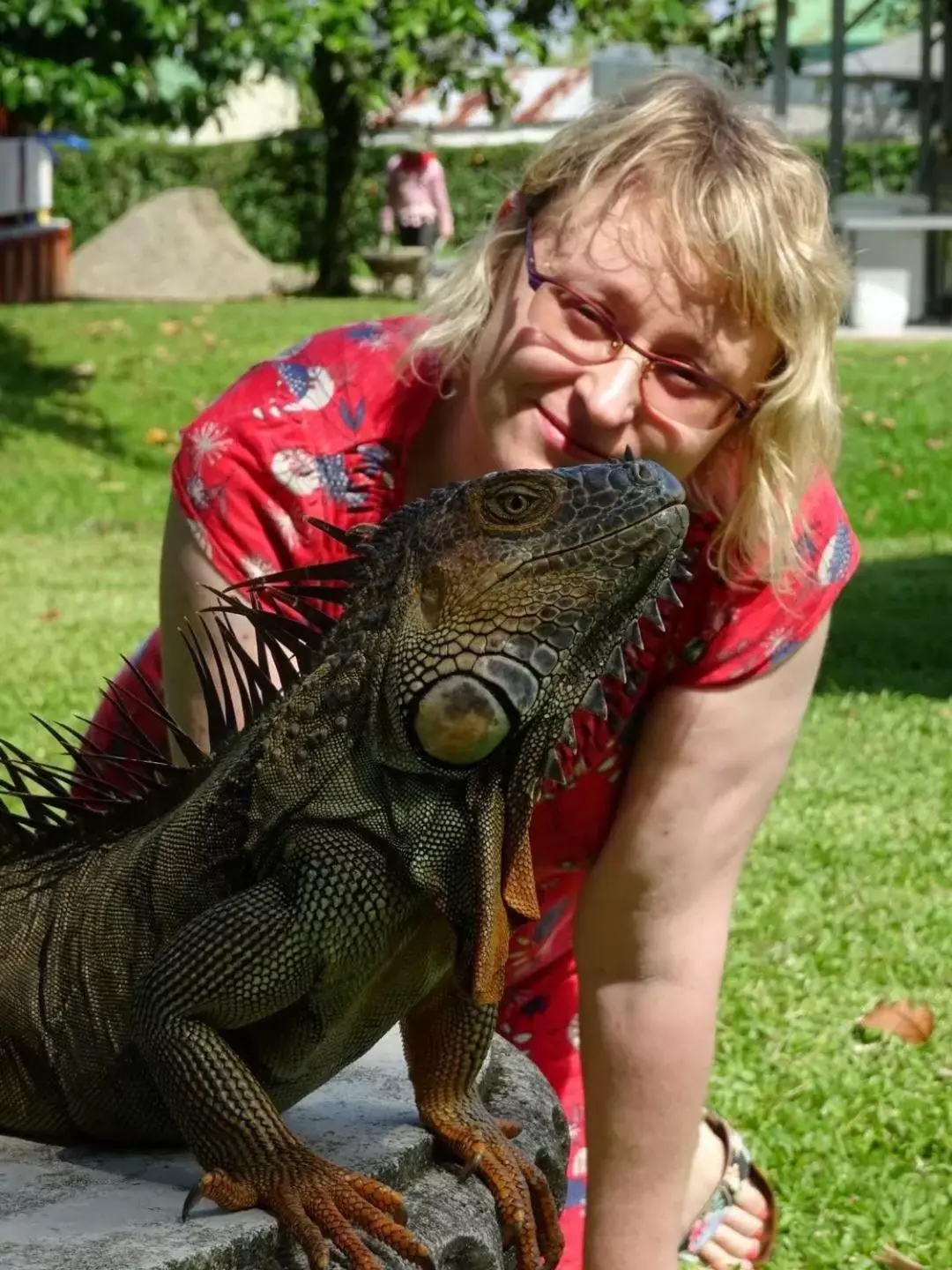 Guests, Other Animals in Hotel Colores del Arenal