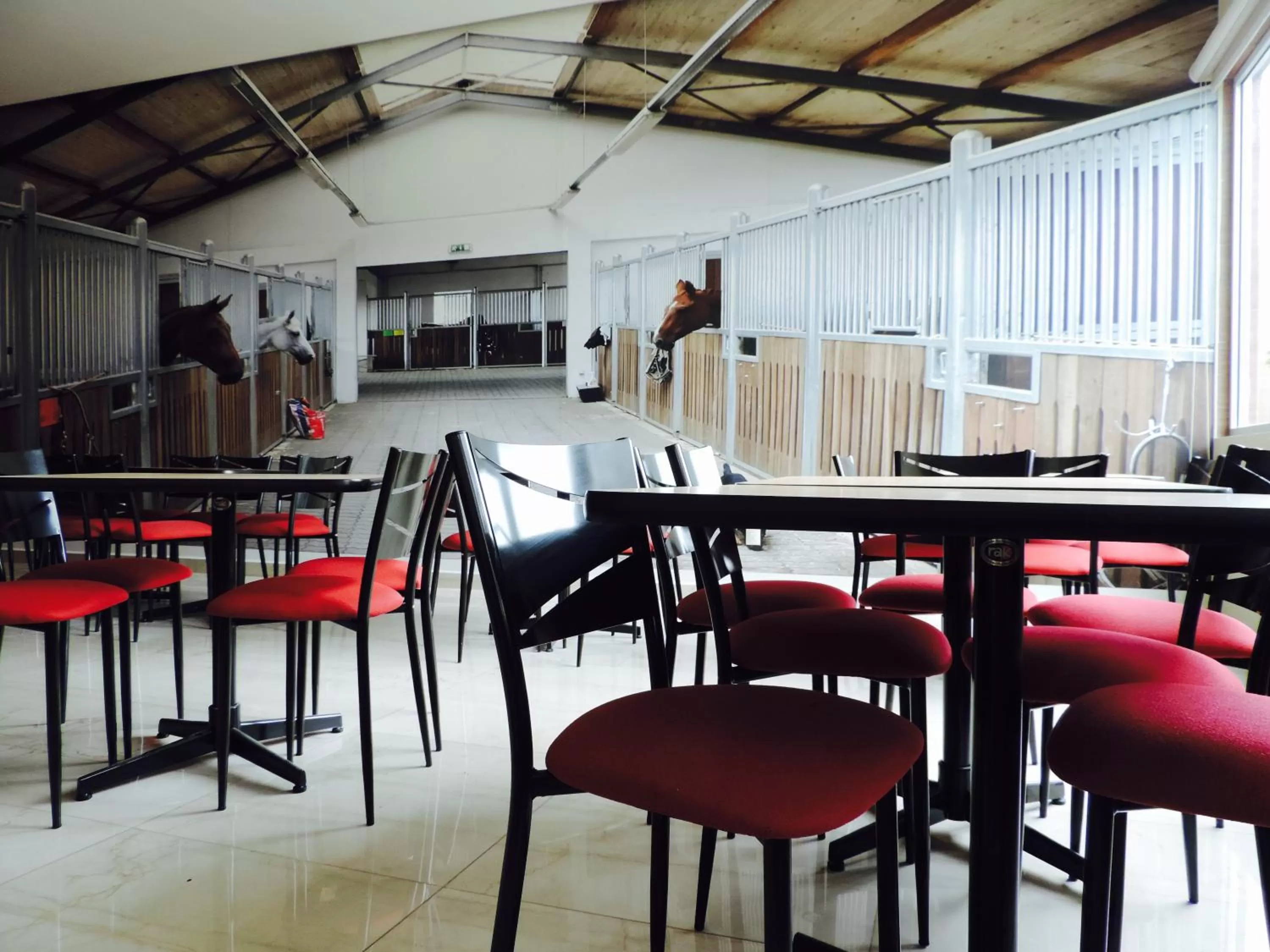 Restaurant/places to eat in Hotel Xcoco Inn