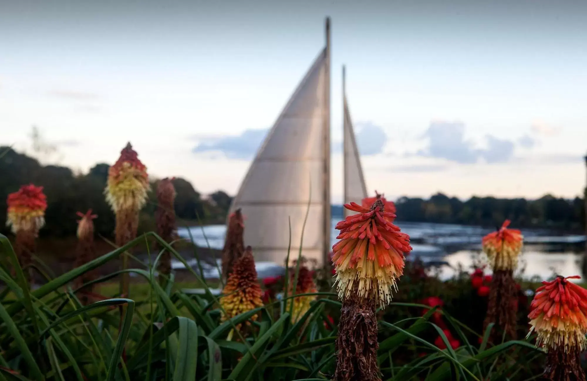 Natural landscape, Sunrise/Sunset in Carrigaline Court Hotel & Leisure Centre