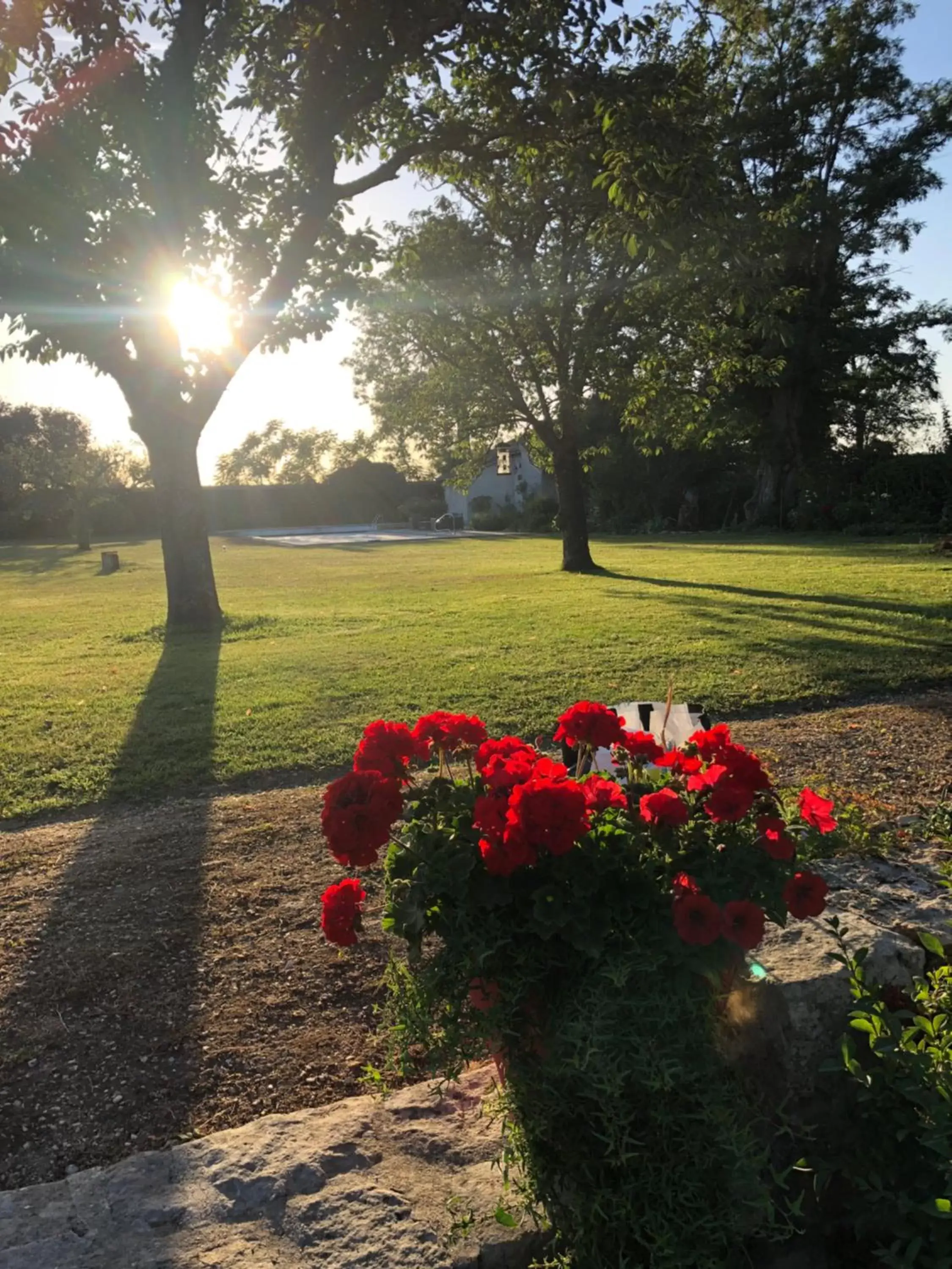 Garden in La plaine de l'Angelus