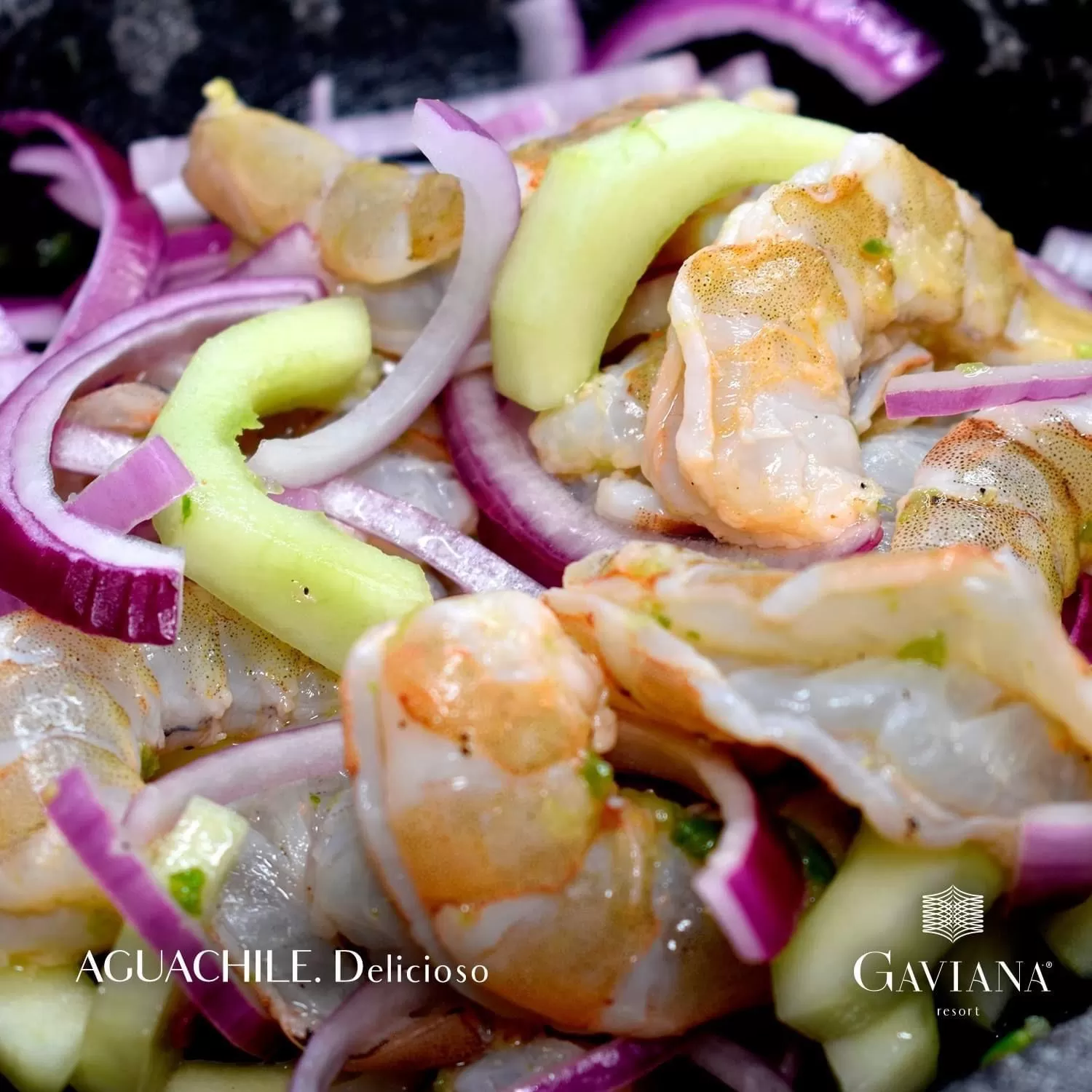 Restaurant/places to eat in Gaviana Resort