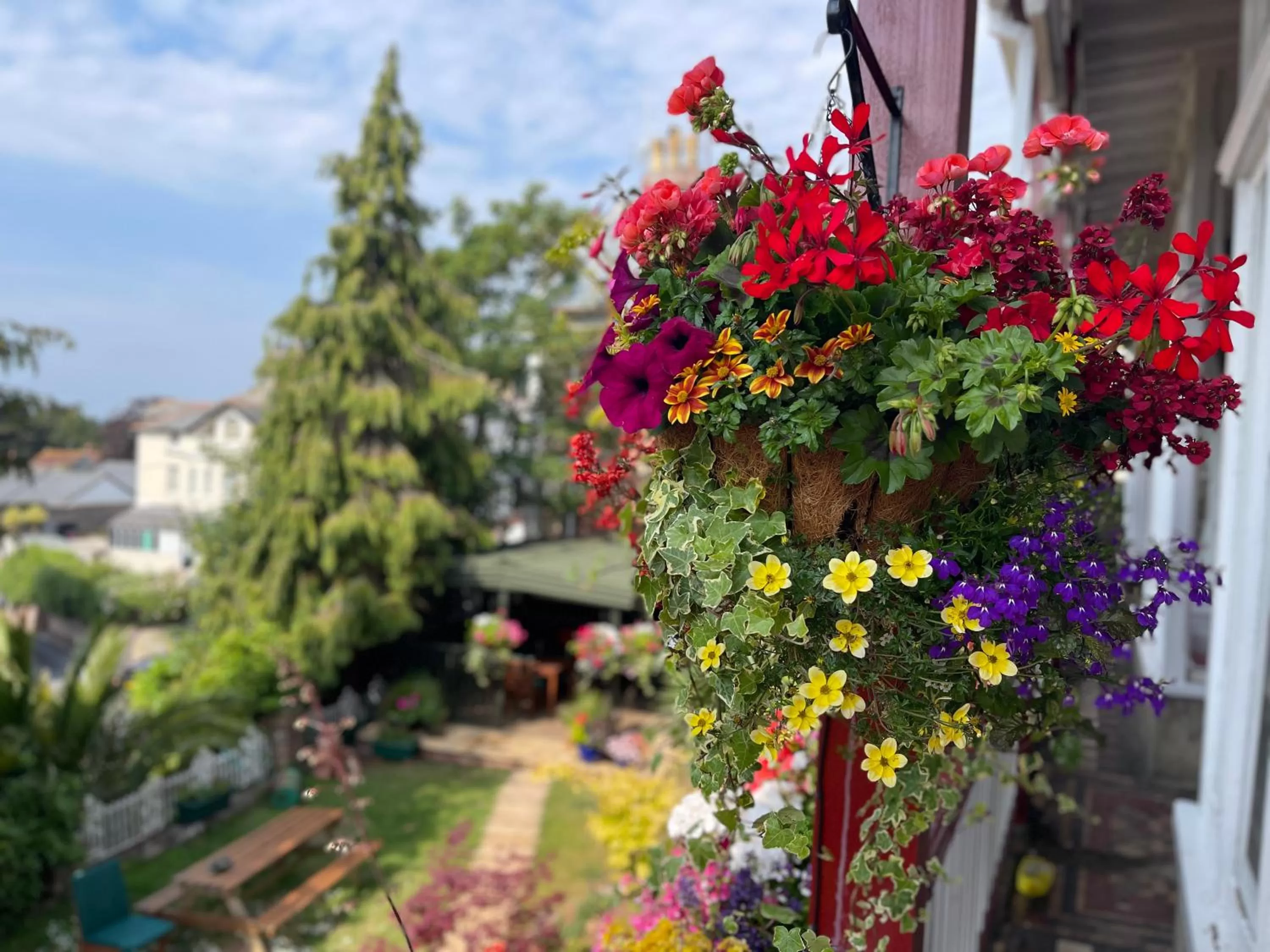 Garden in The Robin Hill