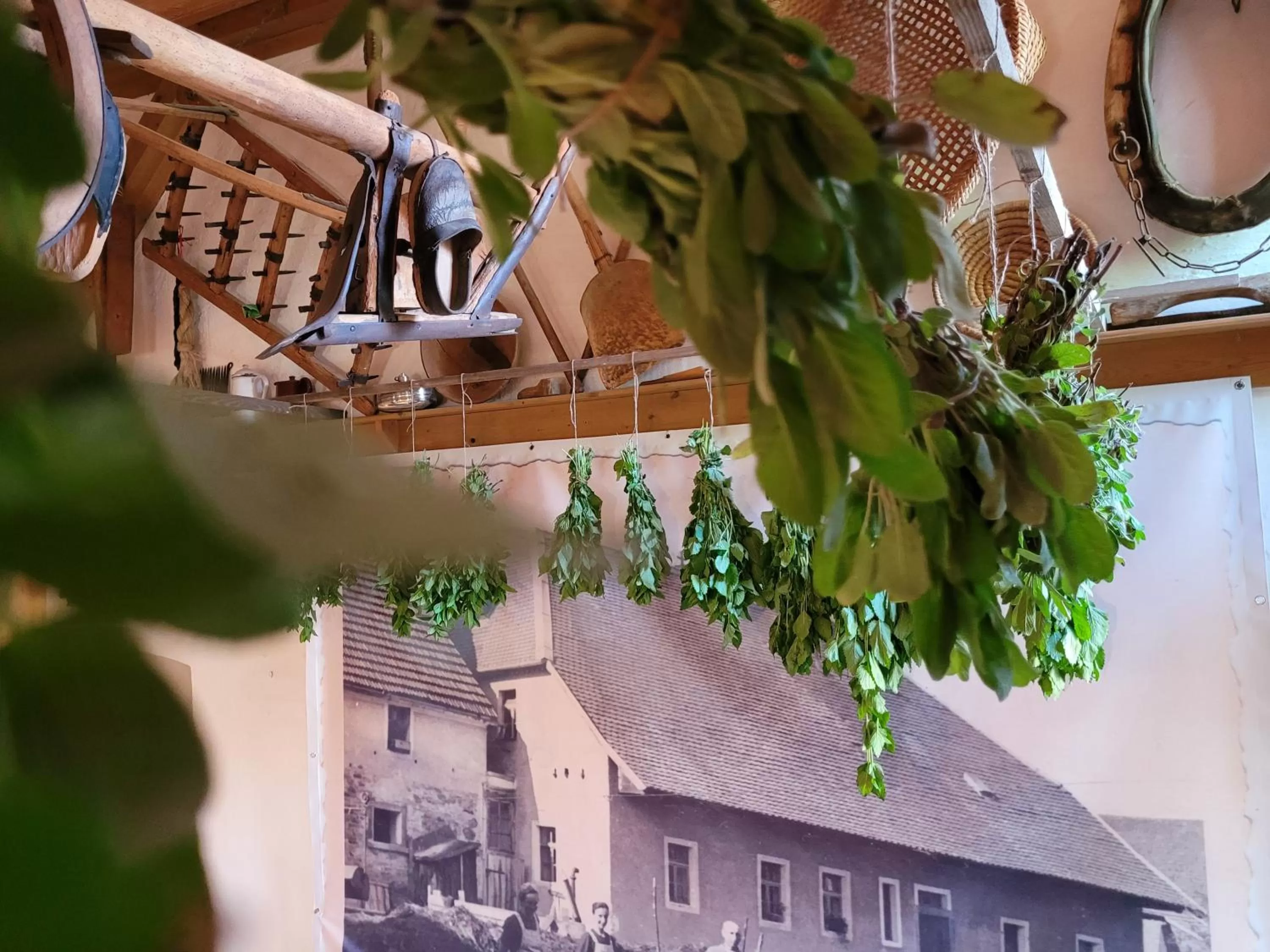 Restaurant/places to eat in Landhotel Großeiberhof