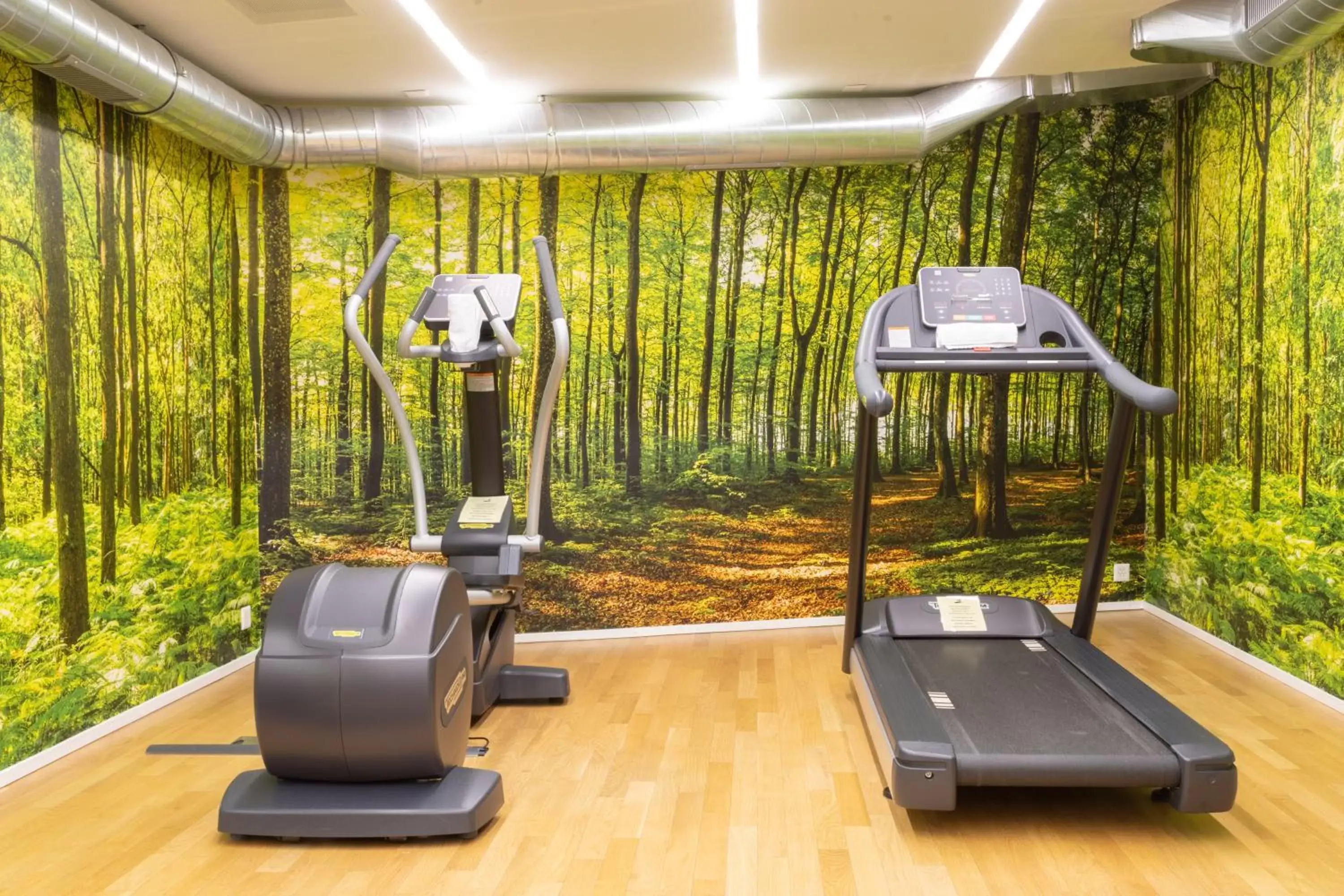Fitness centre/facilities, Fitness Center/Facilities in ABC Swiss Quality Hotel