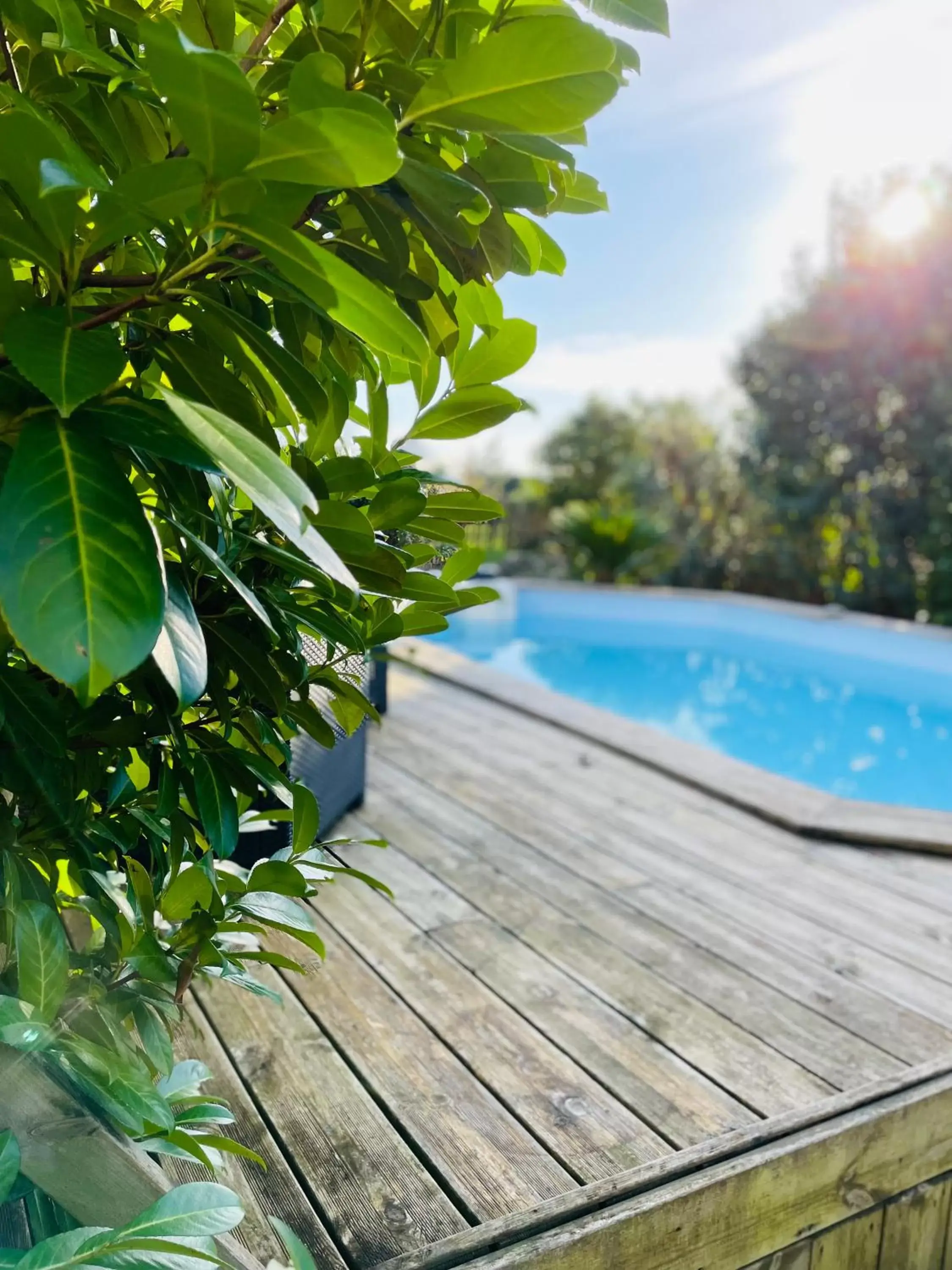 Swimming Pool in La Poterie