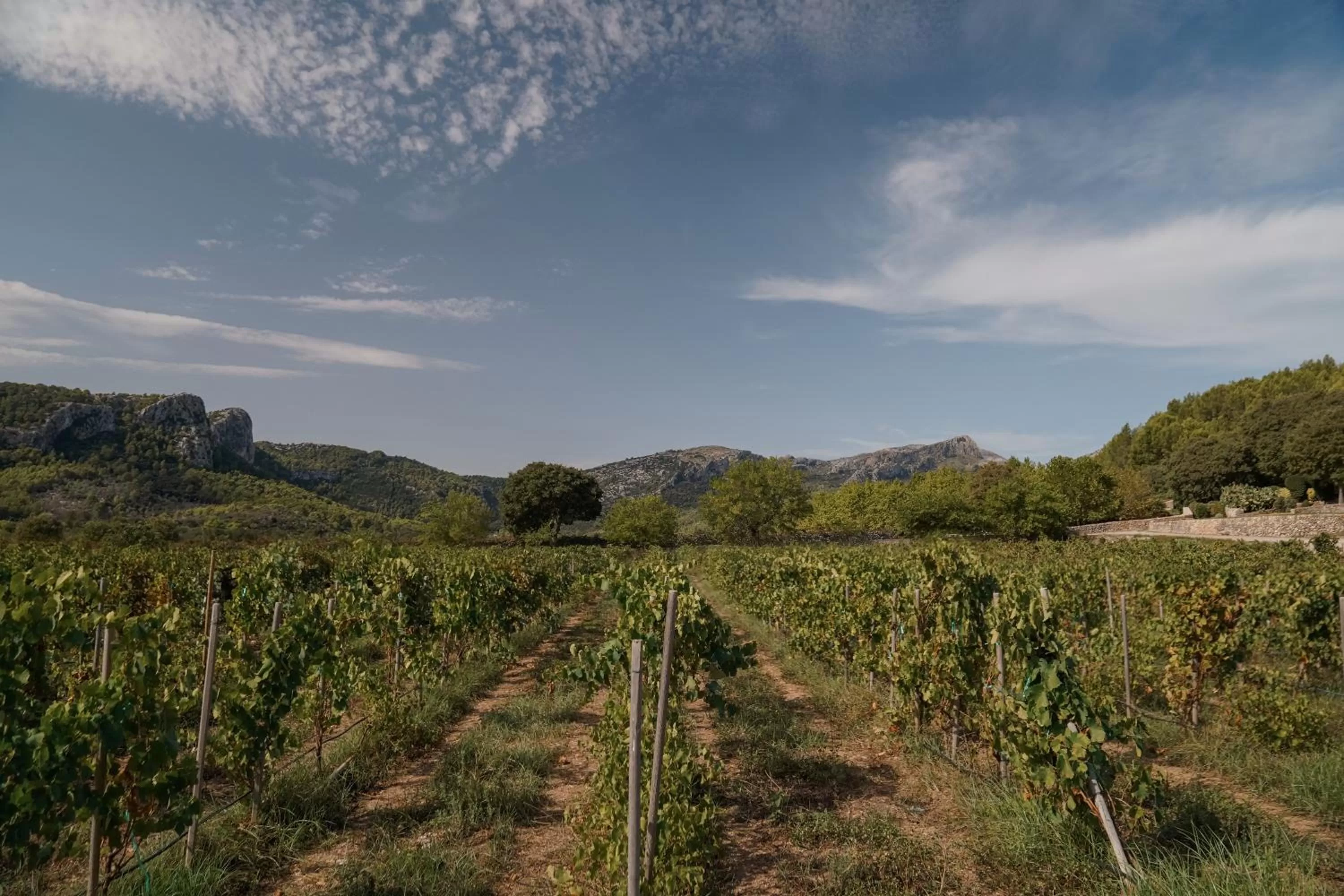 Off site in Son Brull Hotel & Spa - Relais & Chateaux