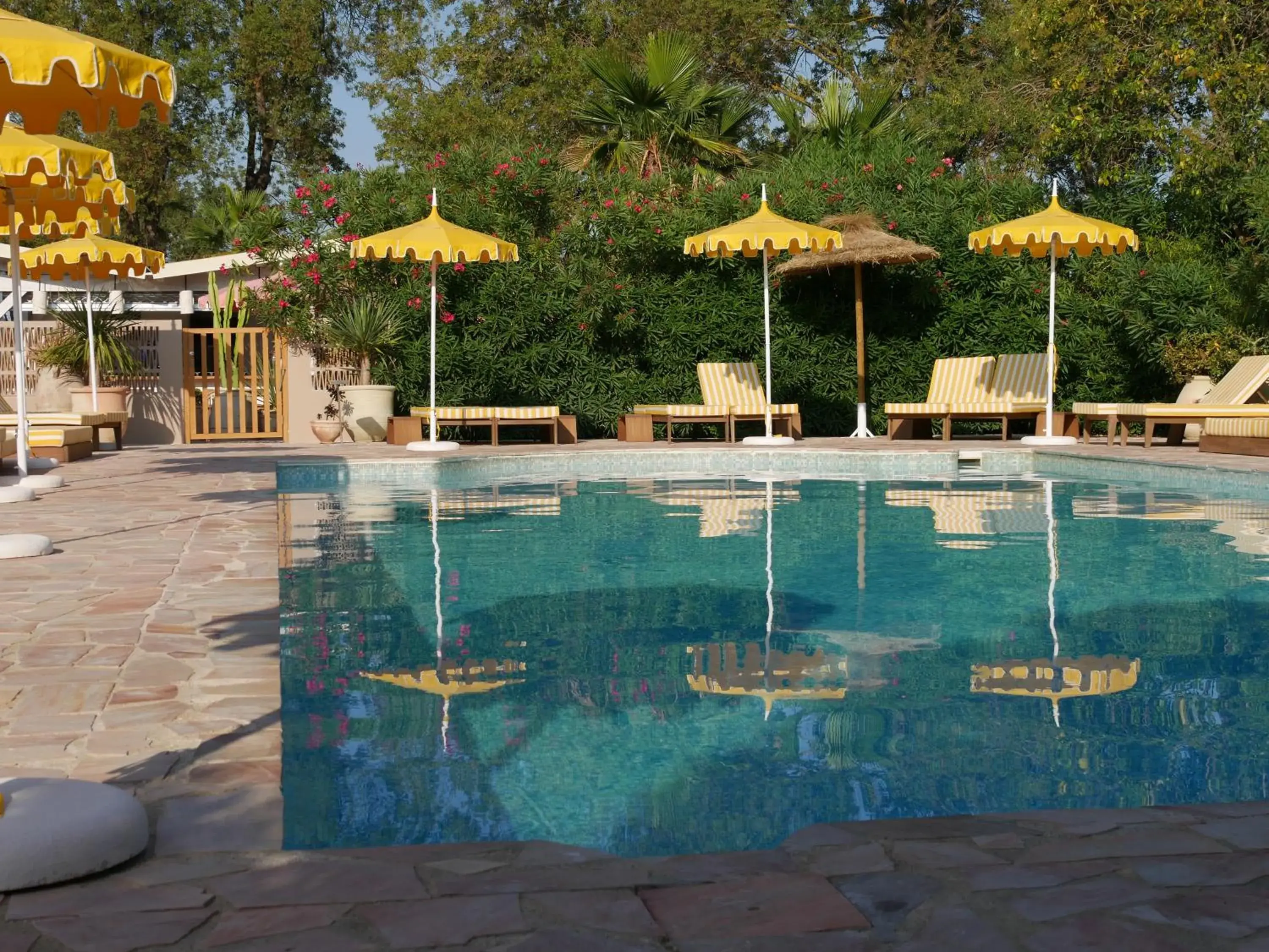 Swimming Pool in Hotel Casarose