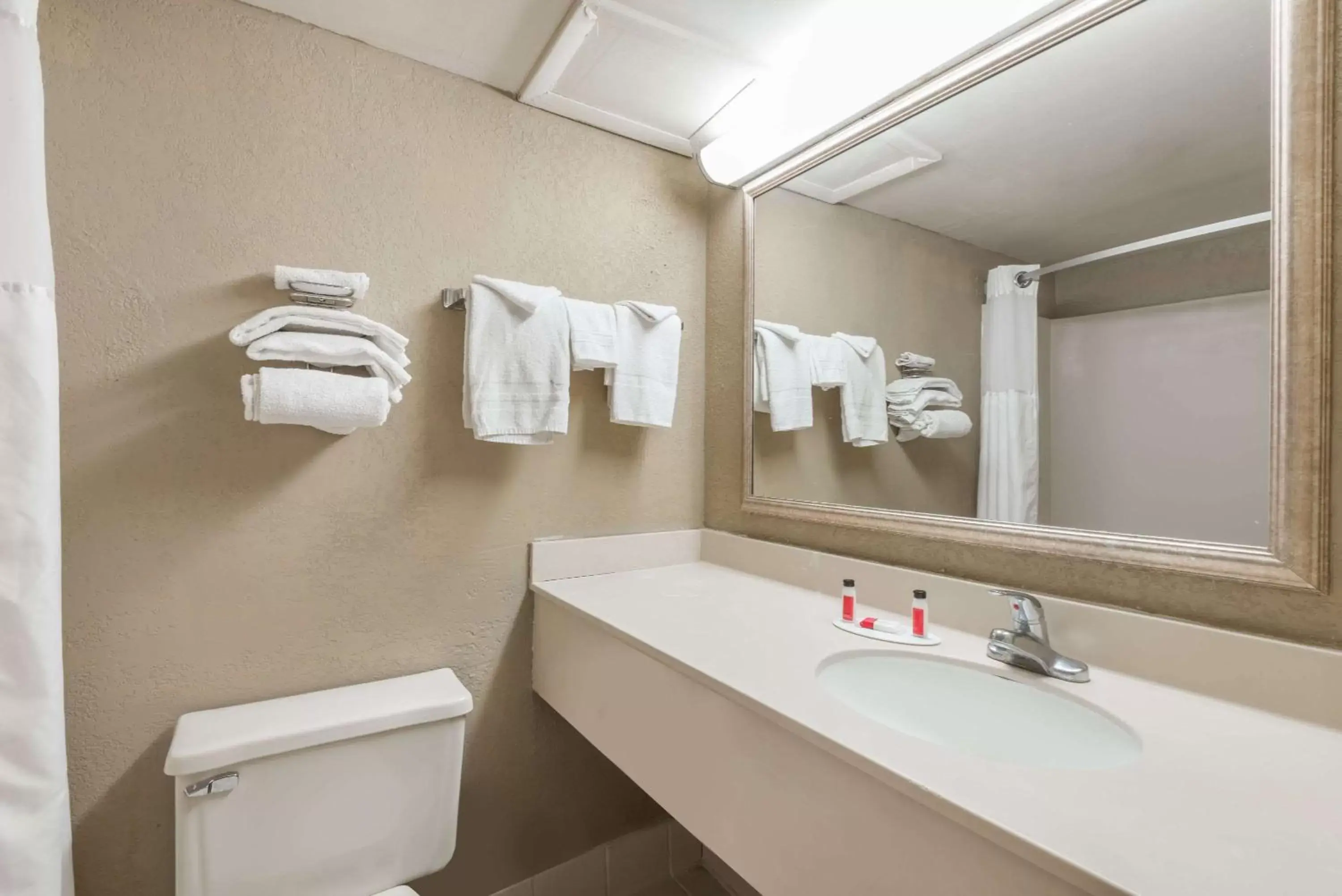 Queen Room - Mobility Access/Non-Smoking in Super 8 by Wyndham Miamisburg Dayton S Area OH