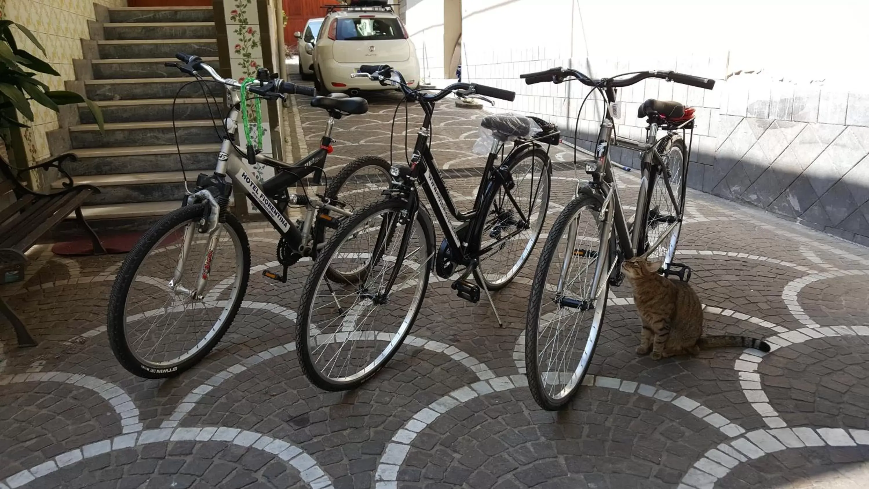 Cycling, Biking in Hotel Fiorentina