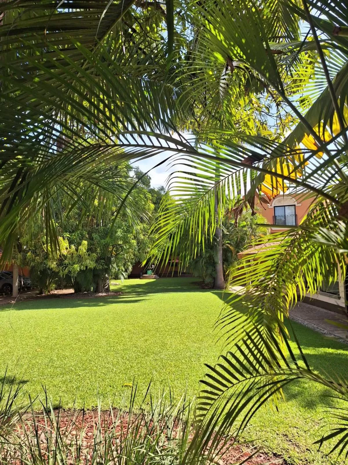 Day in Hotel Palmareca