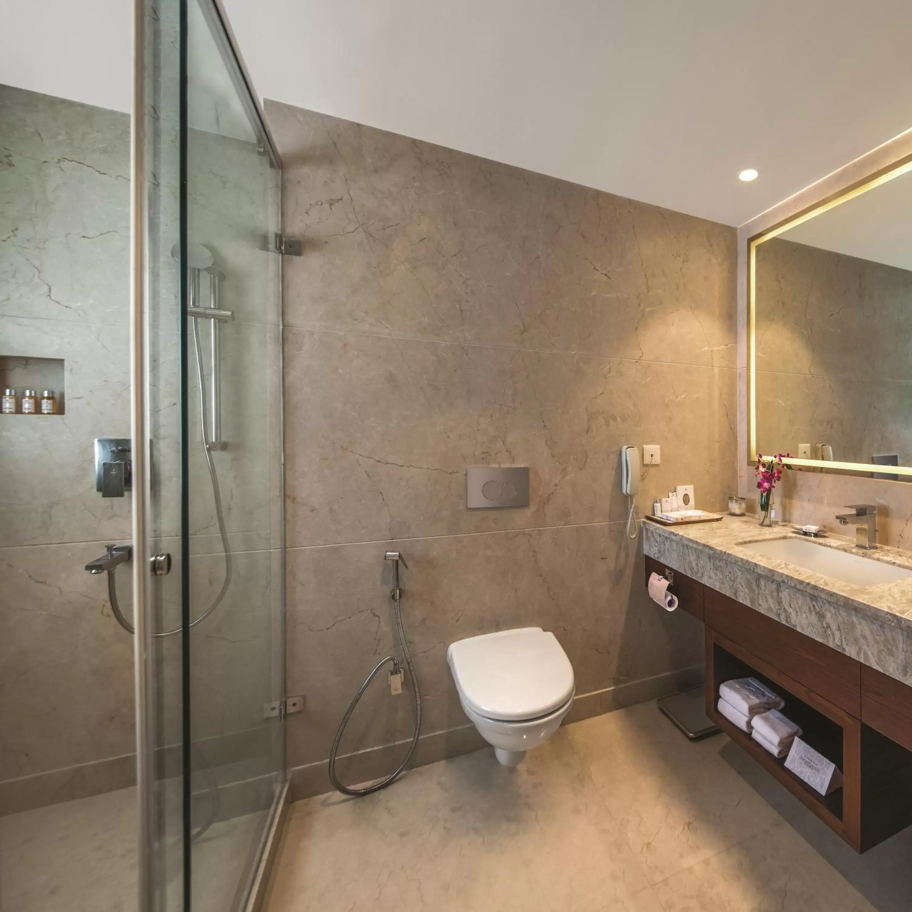 Toilet, Bathroom in Jaypee Siddharth Hotel