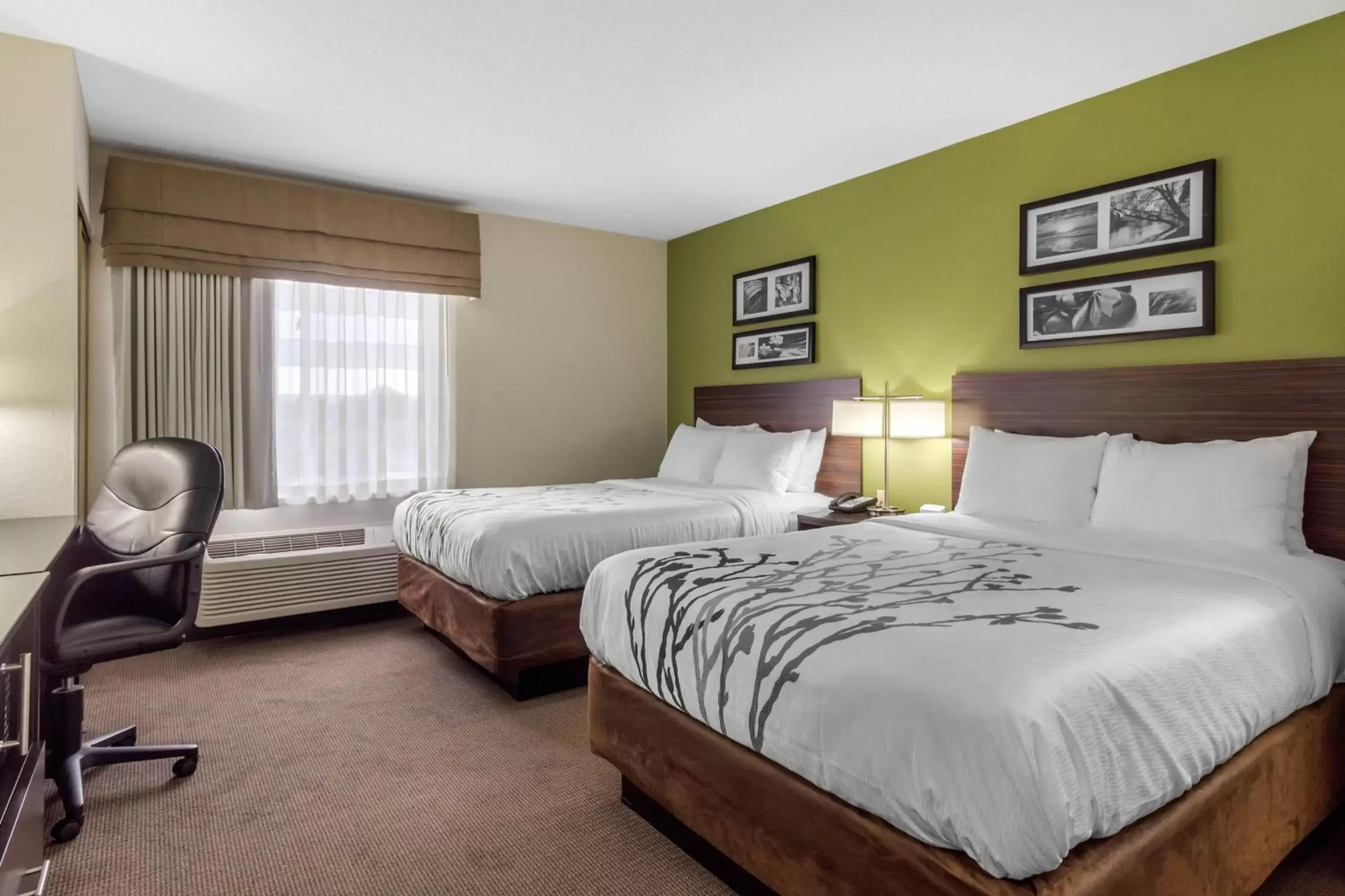 Queen Room with Two Queen Beds - Non-Smoking in Sleep Inn & Suites Allendale