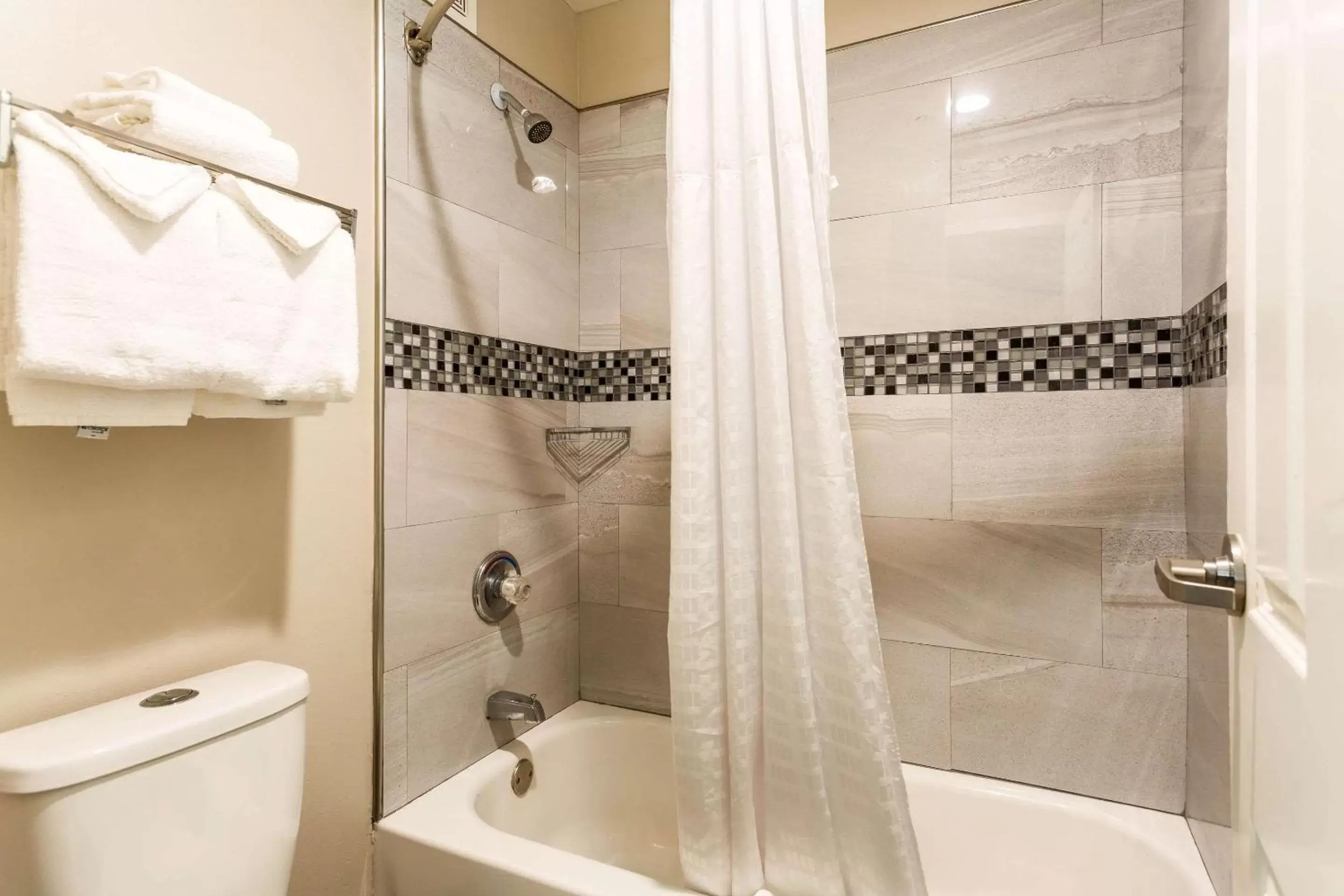 Bathroom in Econo Lodge Inn & Suites Nashville SE Murfreesboro - MTSU