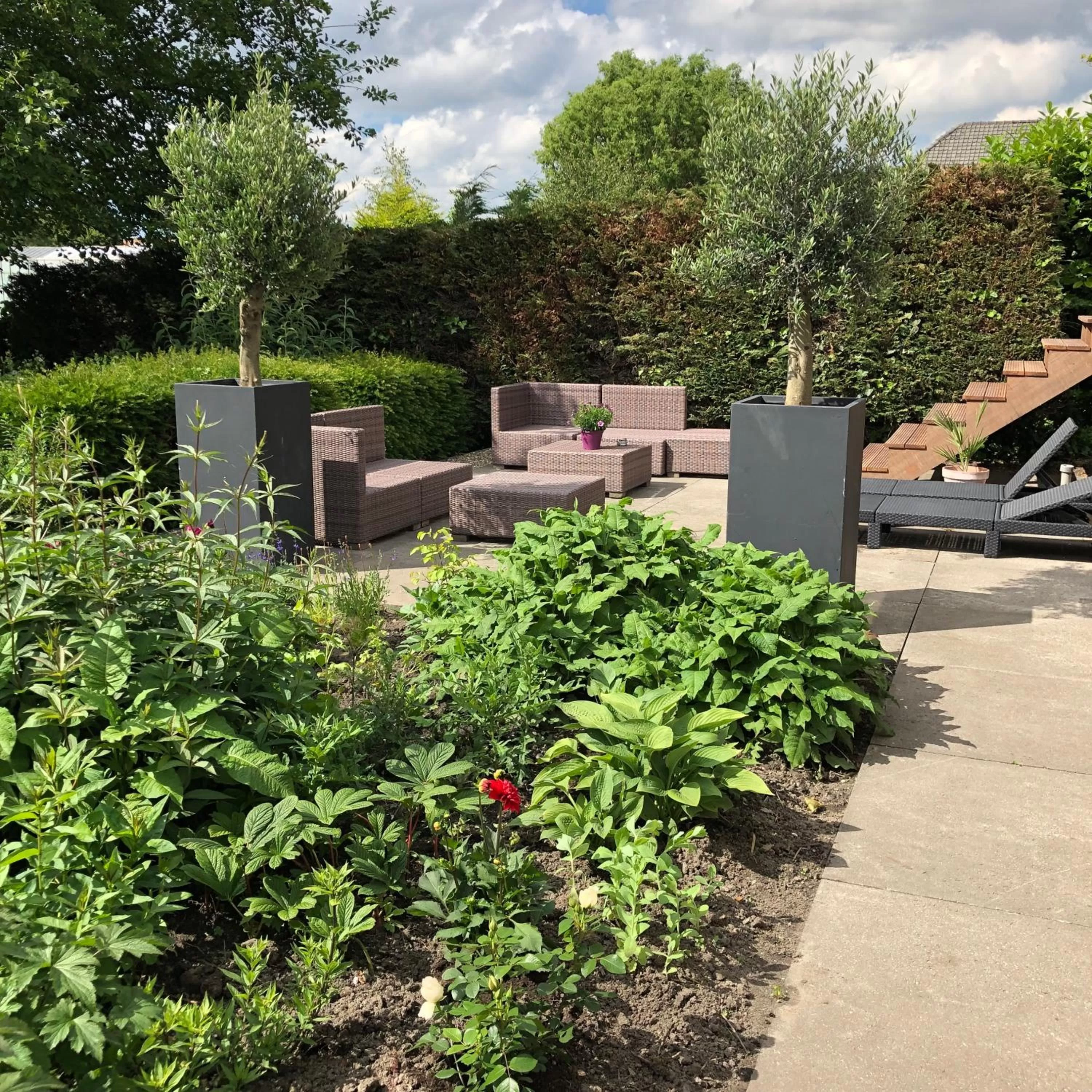 Garden in B&B Bleiswijk