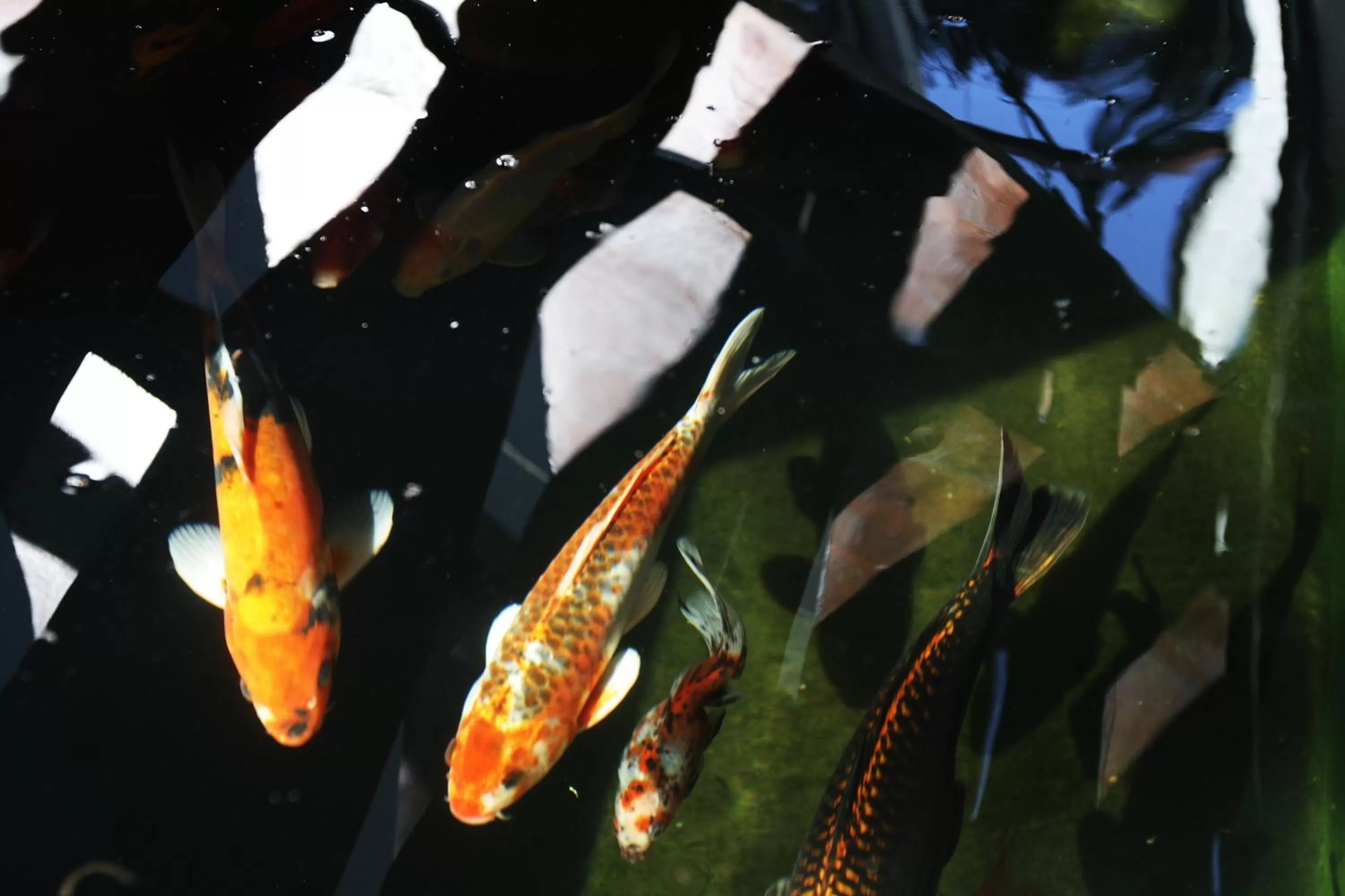 Other in The One 8 Hotel in Green Point - Solar Power