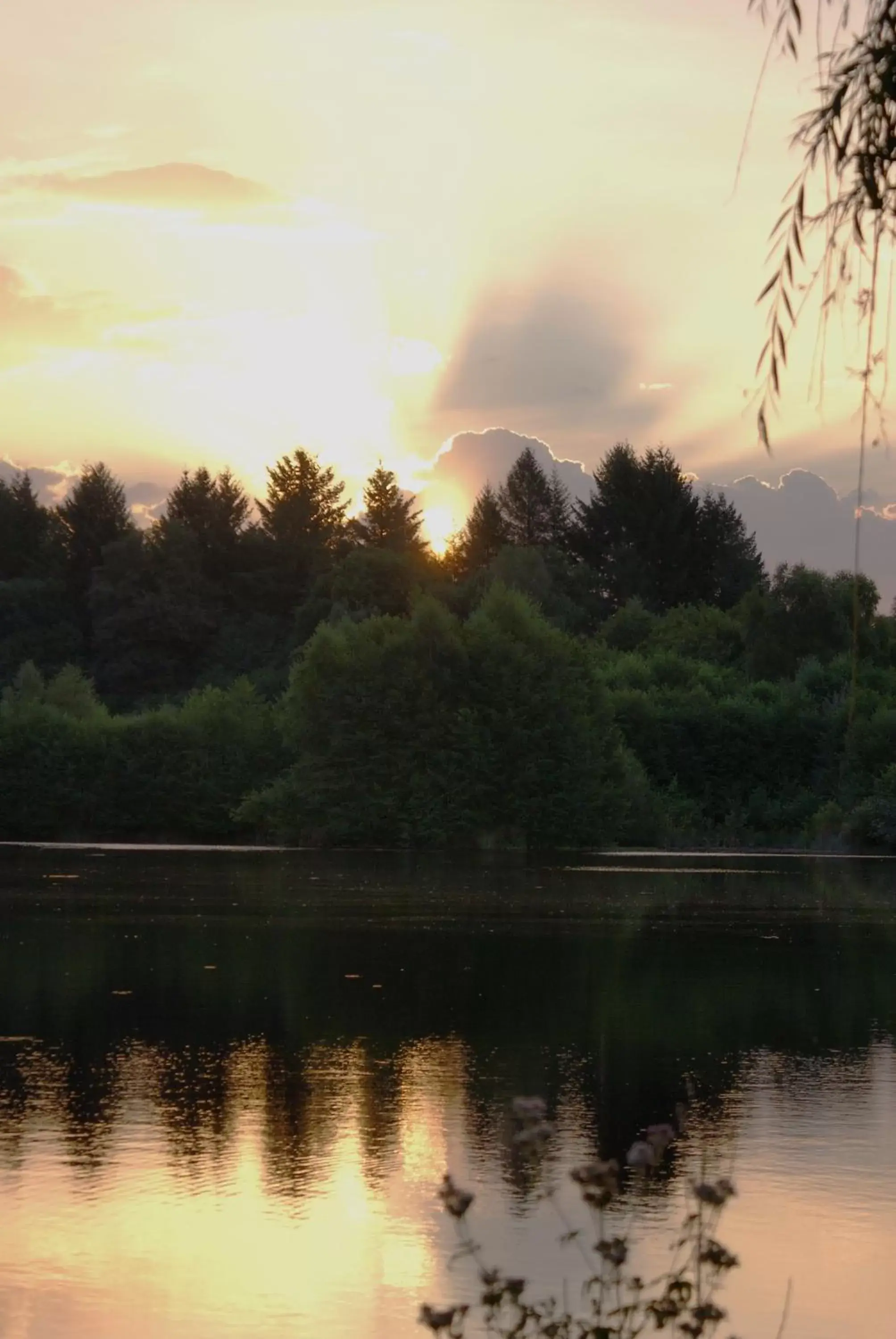 Natural landscape in MOULIN DE LACHAUD