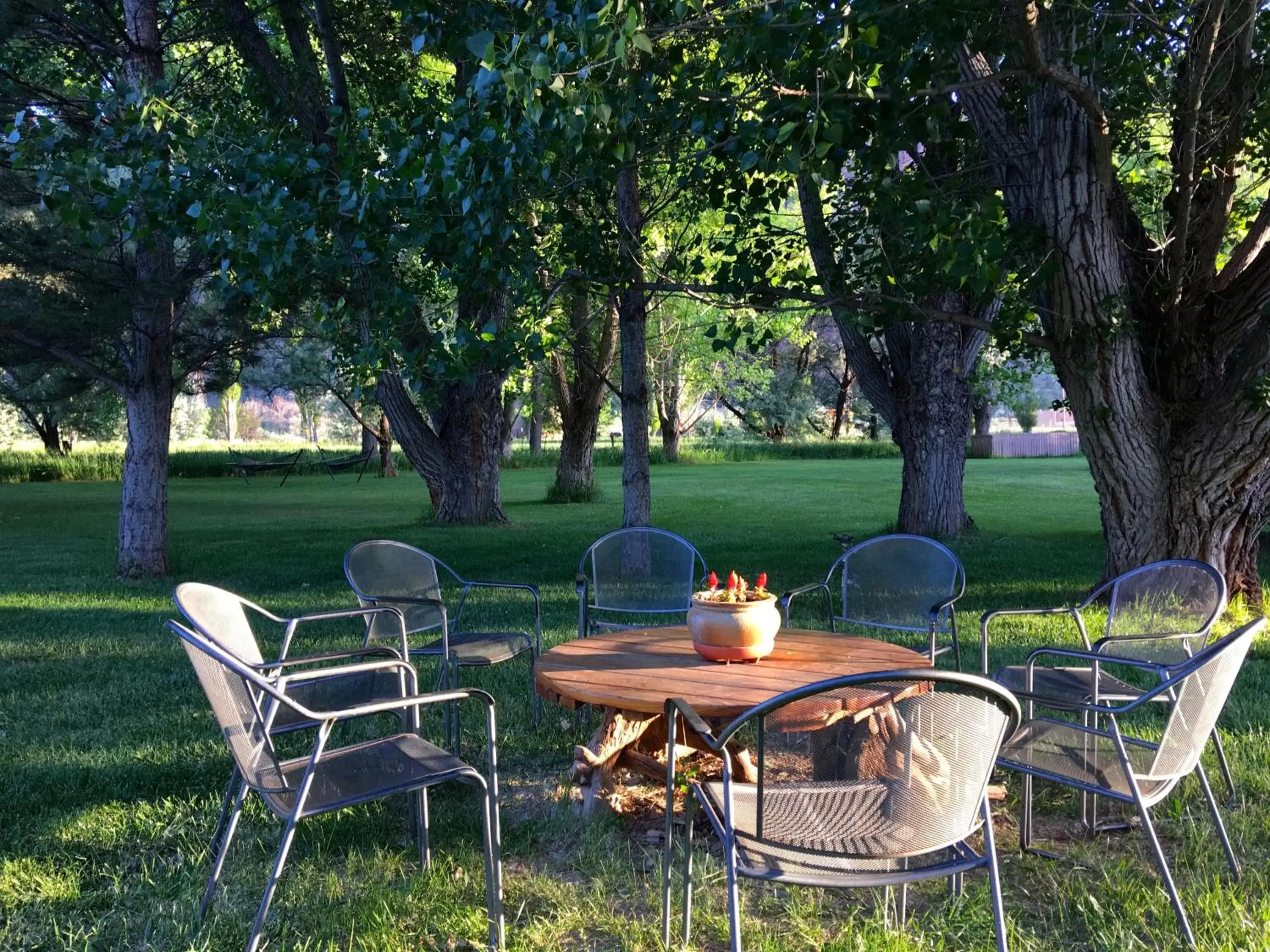 Garden in Castle Valley Inn