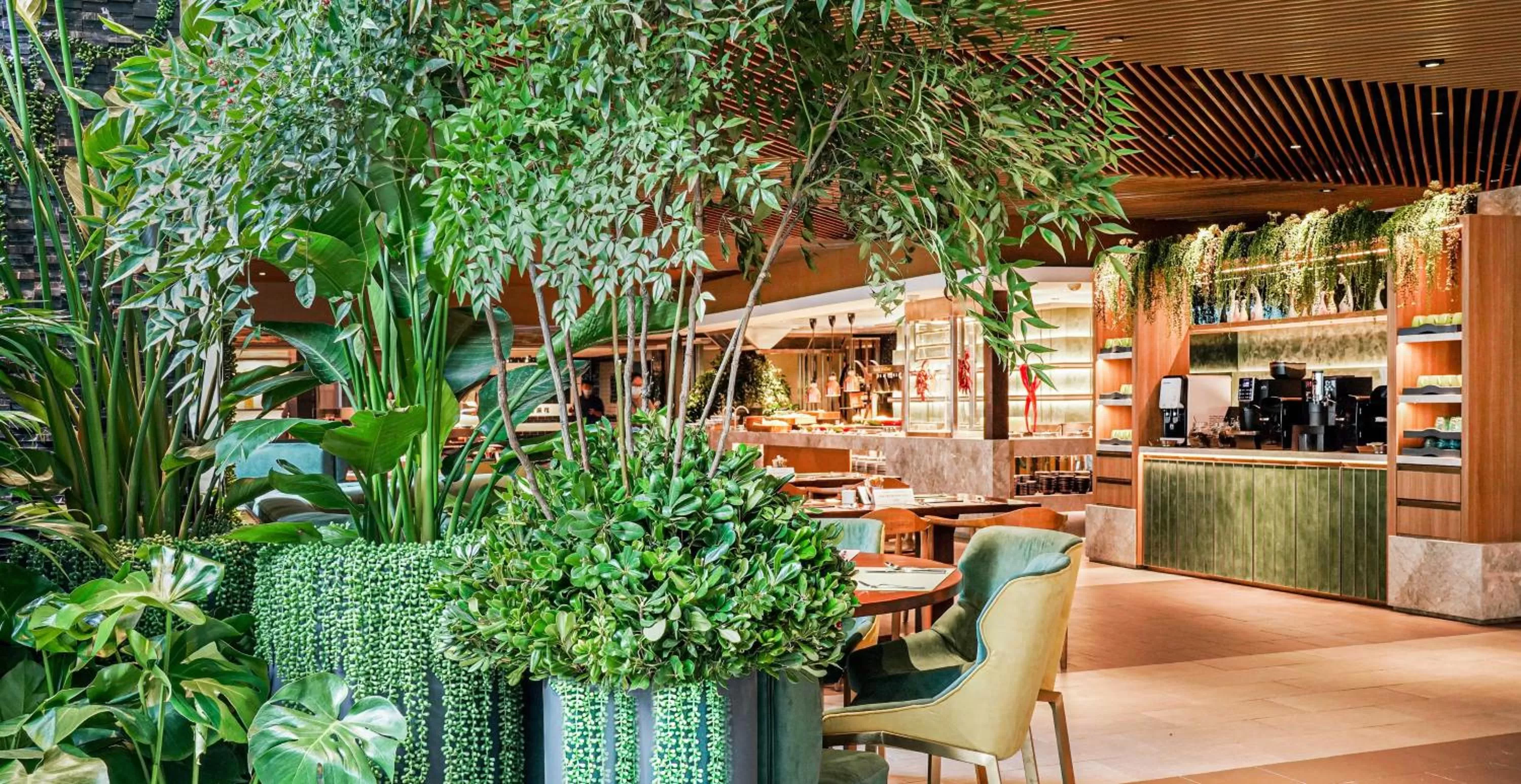 Restaurant/places to eat in Pullman Shanghai Central - In XinTianDi & Yu Garden Area