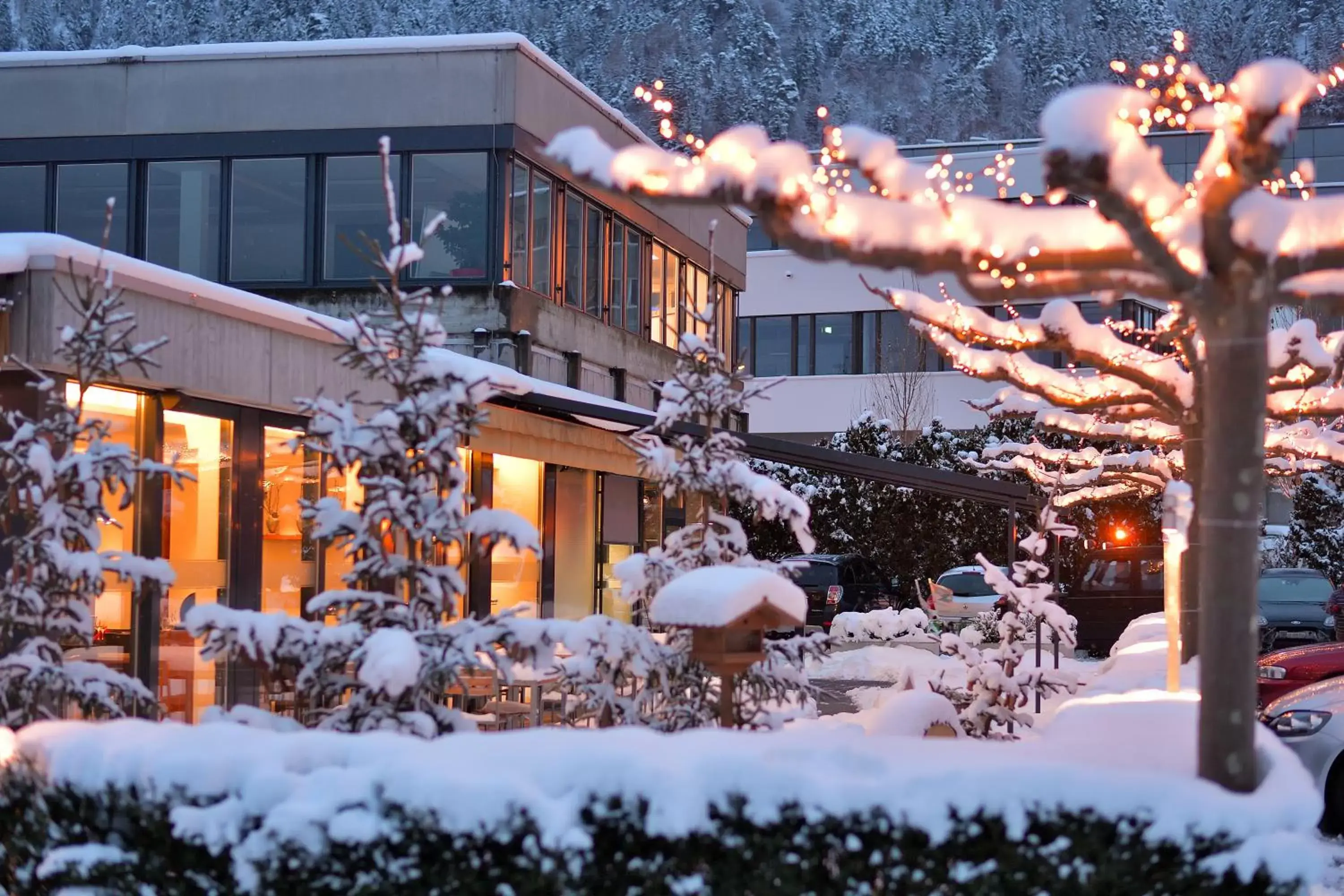 Facade/entrance, Winter in Hotel Sommerau