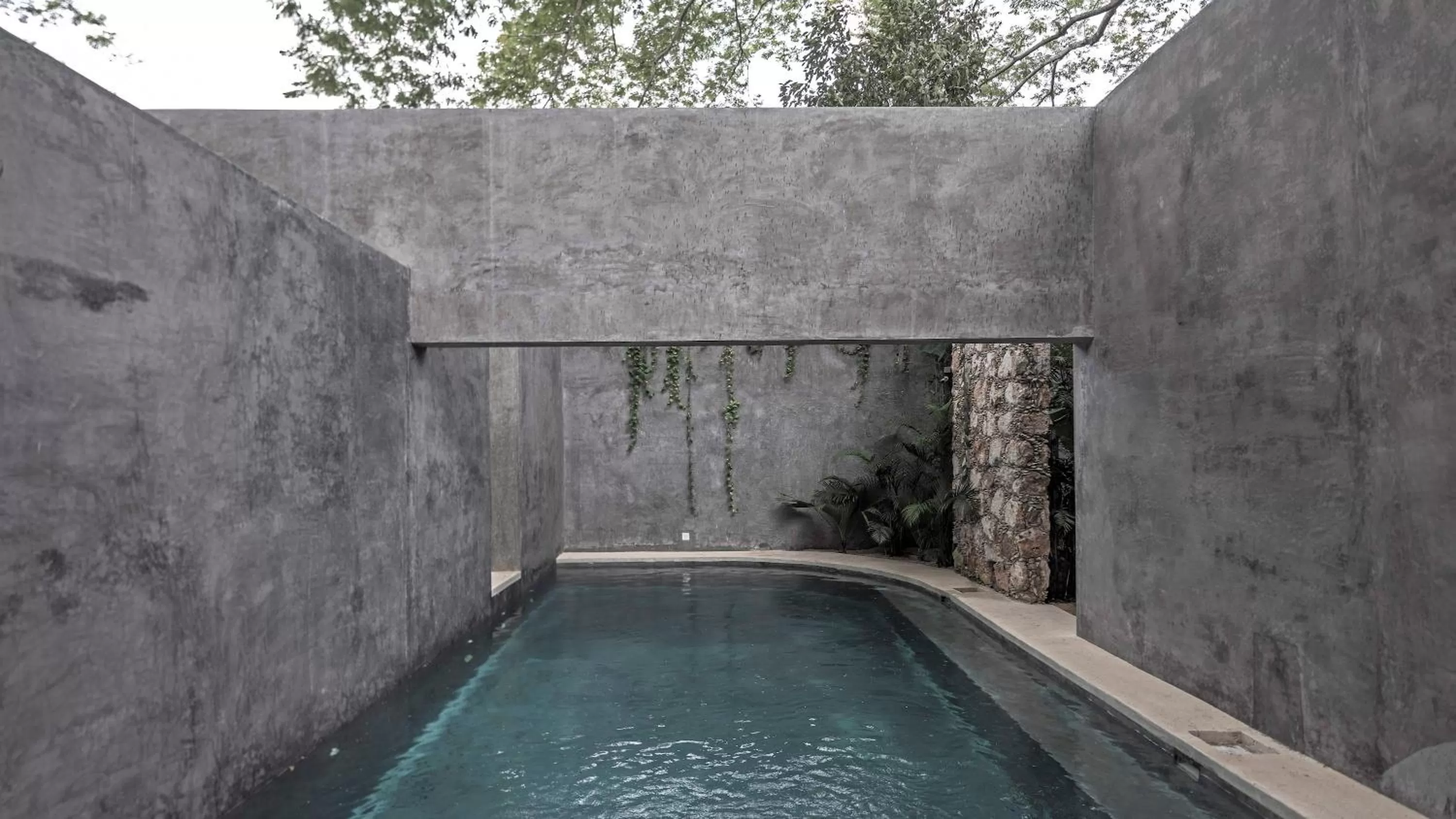 Swimming Pool in Hotel Casa Hormiga