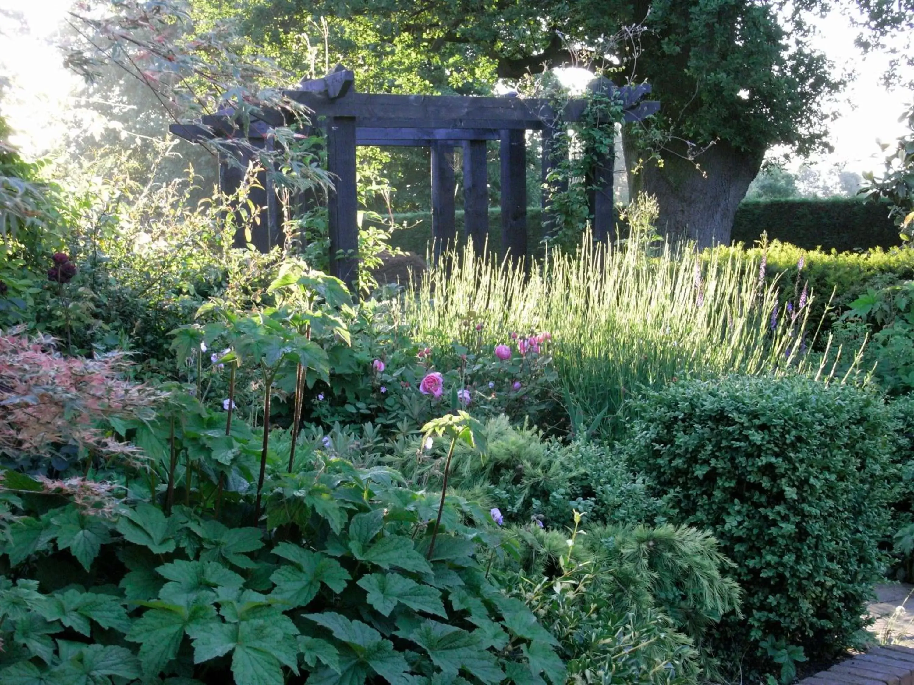 Garden in South Lodge