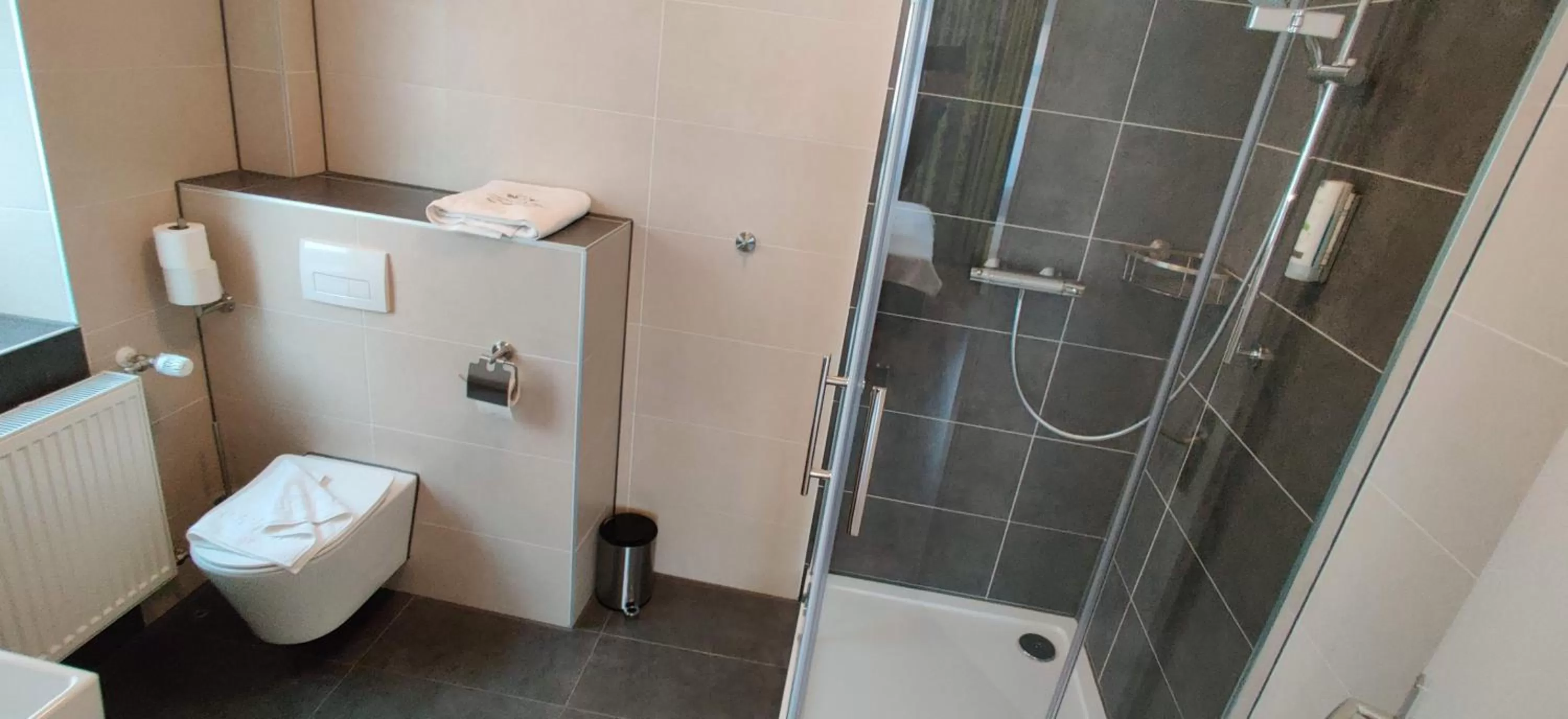 Shower in Hotel Goldene Traube