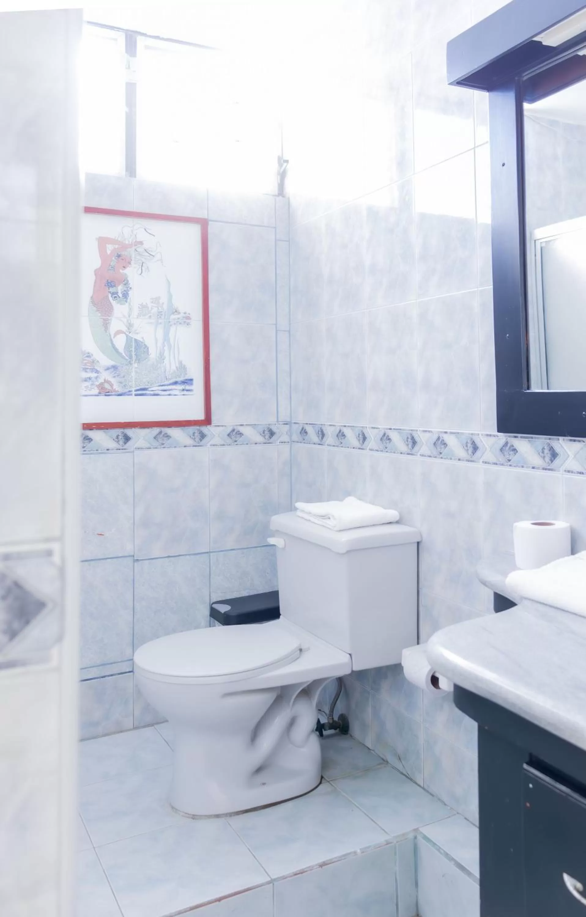 Shower in Hostal Antares