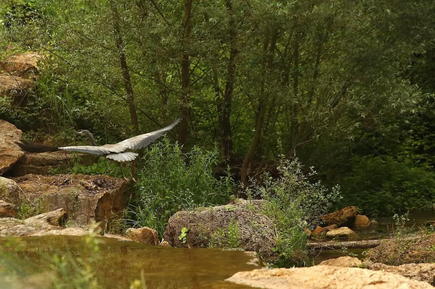 Natural Landscape in Château de Berne