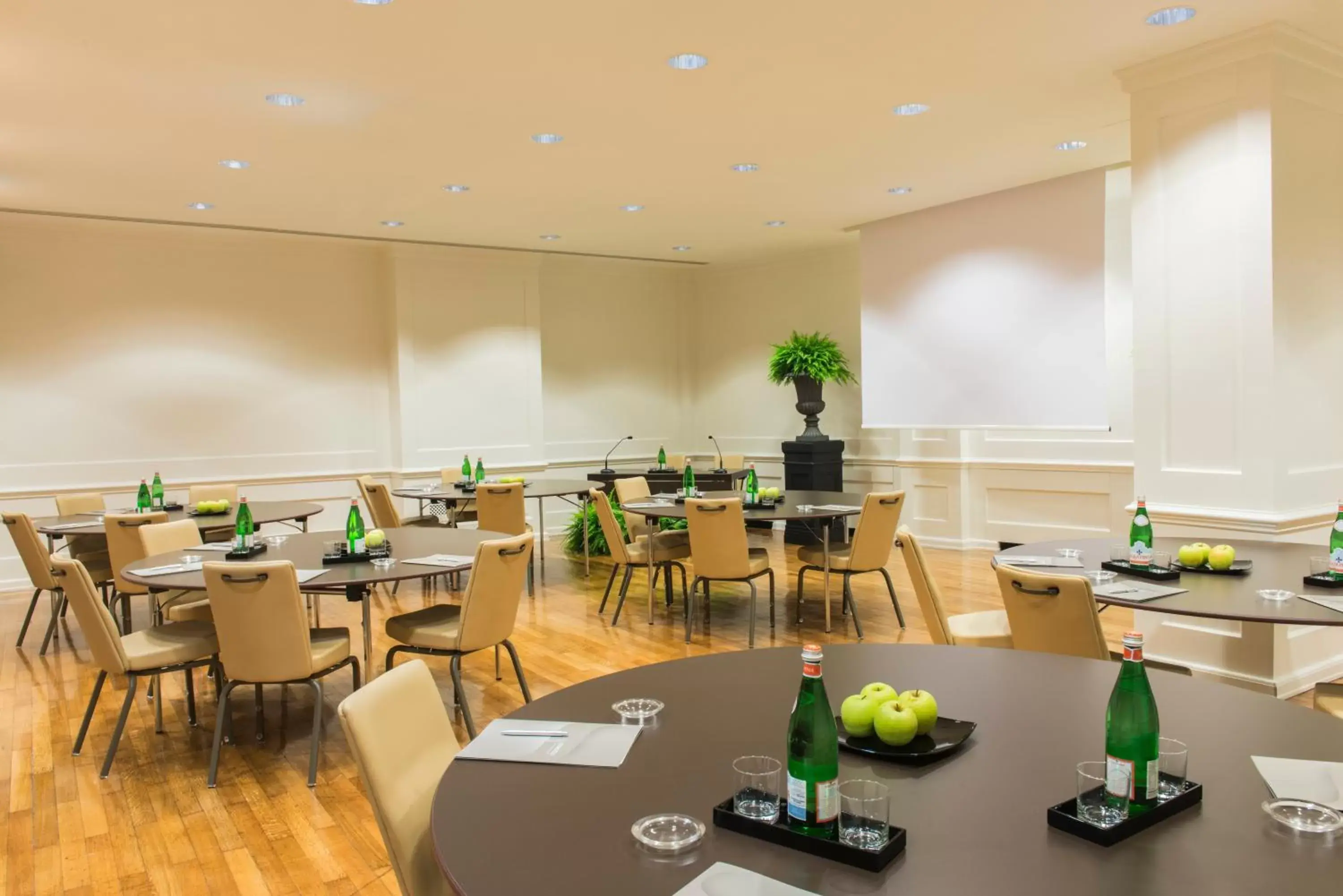 Business facilities, Restaurant/Places to Eat in Starhotels Michelangelo Rome