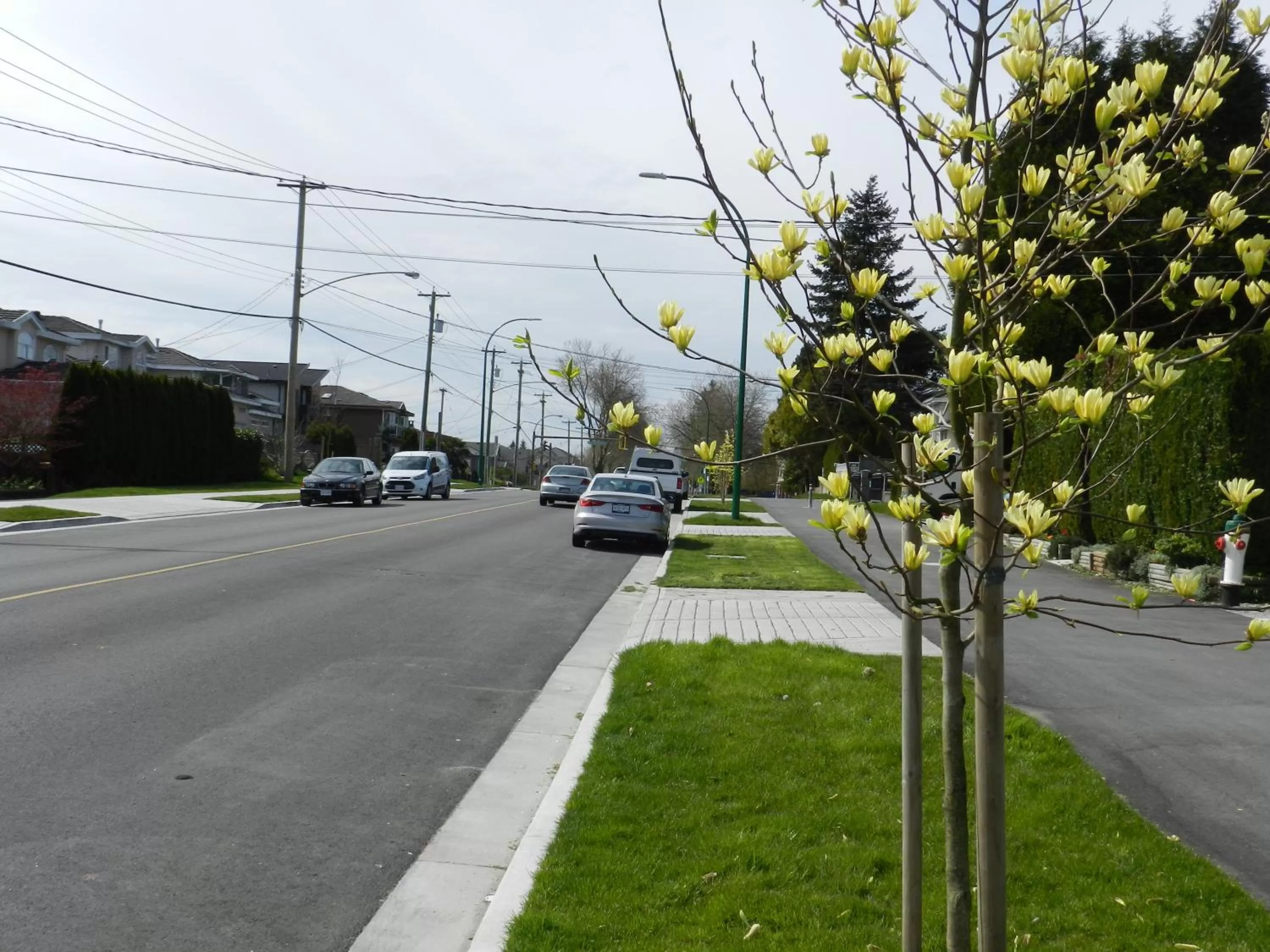 Street view, Neighborhood in Serenity