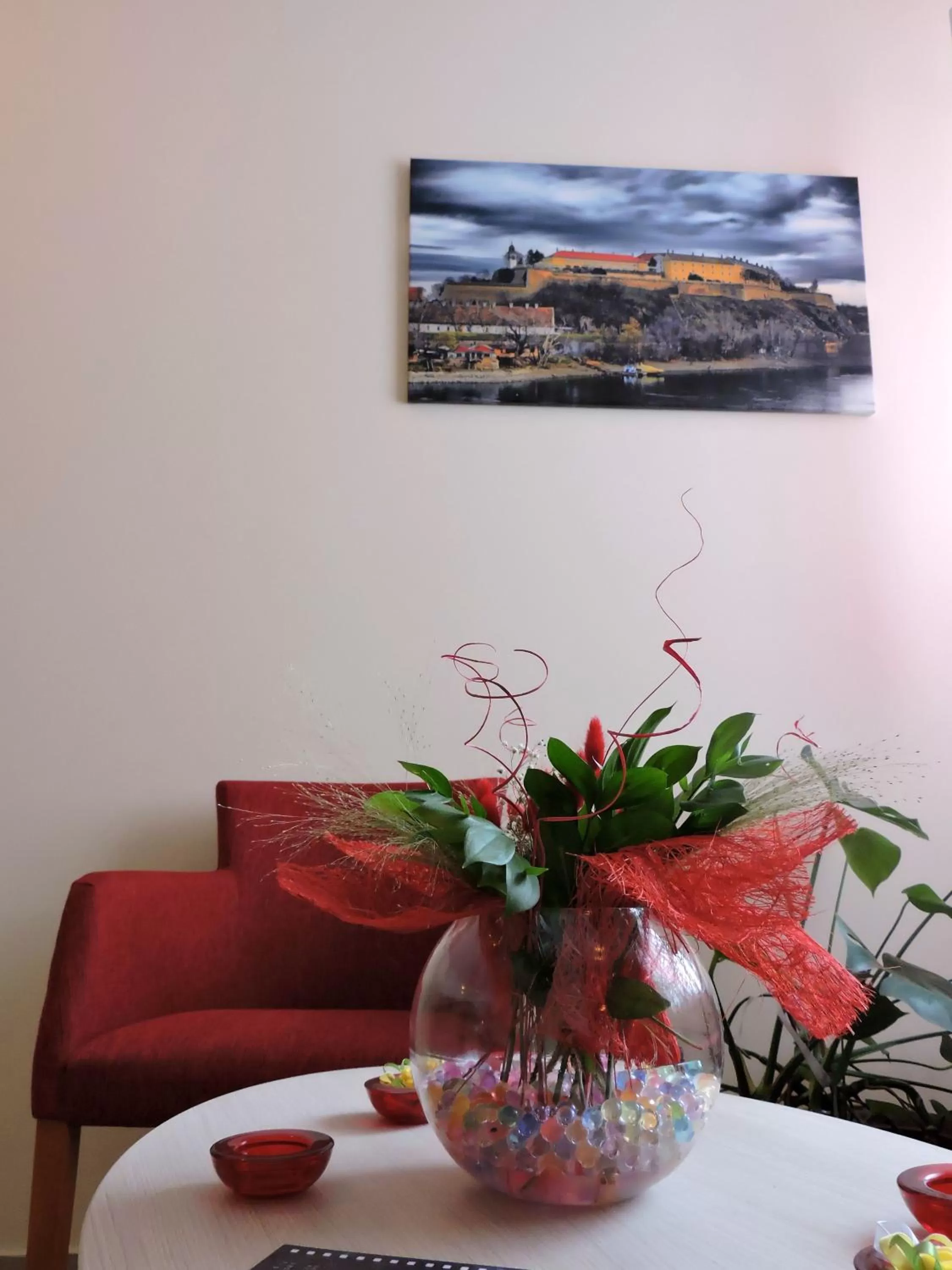 Communal lounge/ TV room in B&B Zmajevo Gnezdo 021