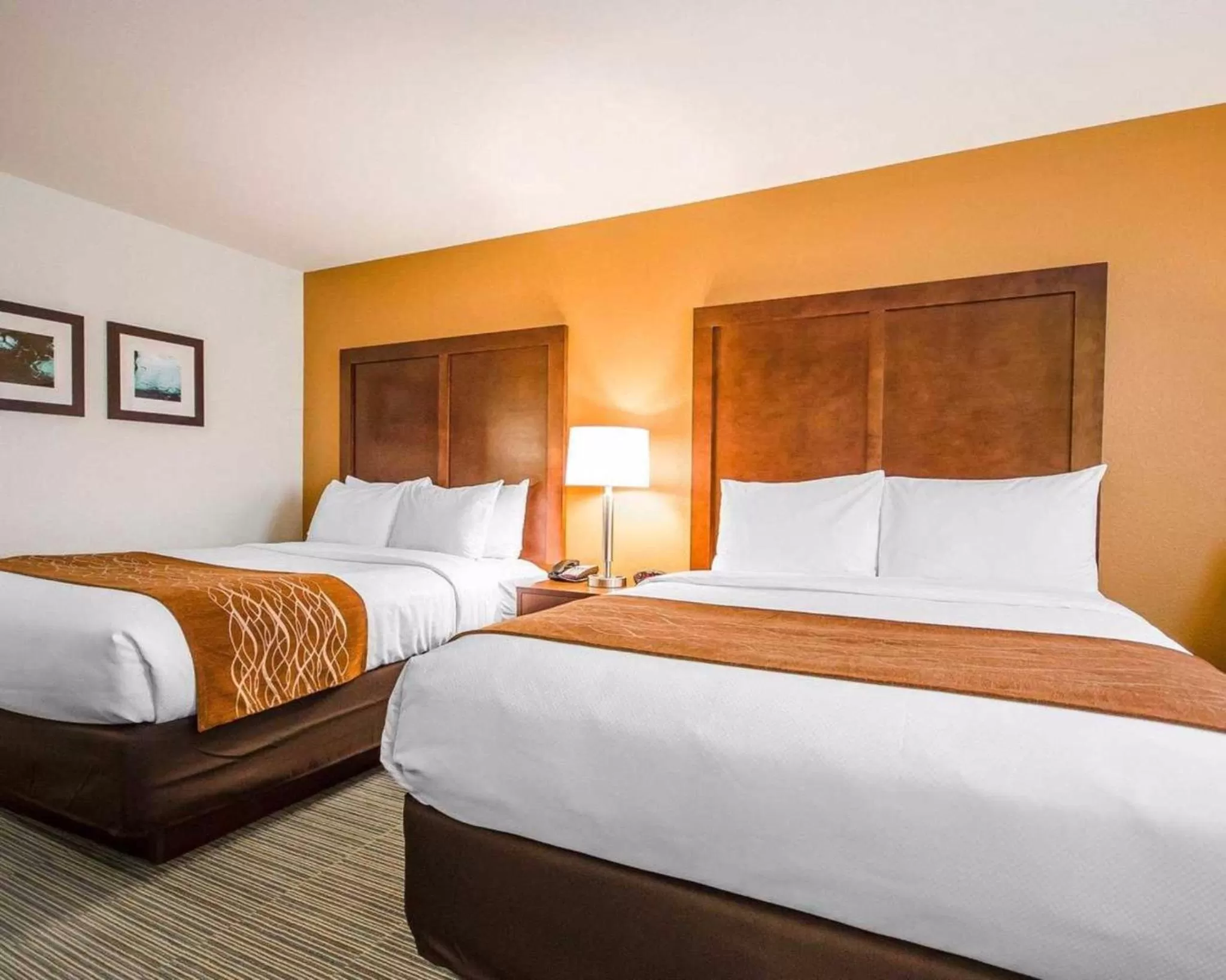 Photo of the whole room, Bed in Comfort Inn