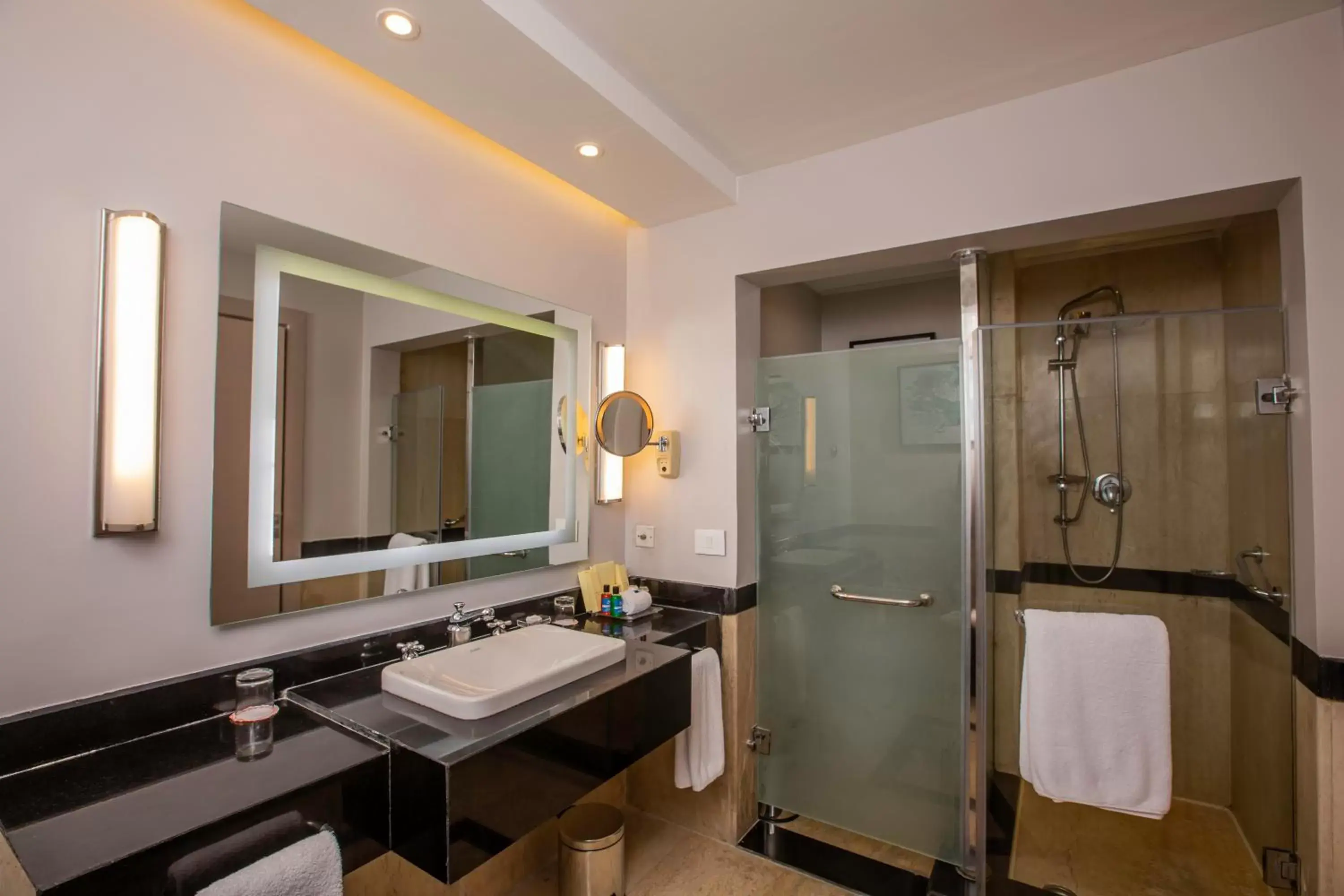 Shower, Bathroom in Park Regency Sharm El Sheikh Resort