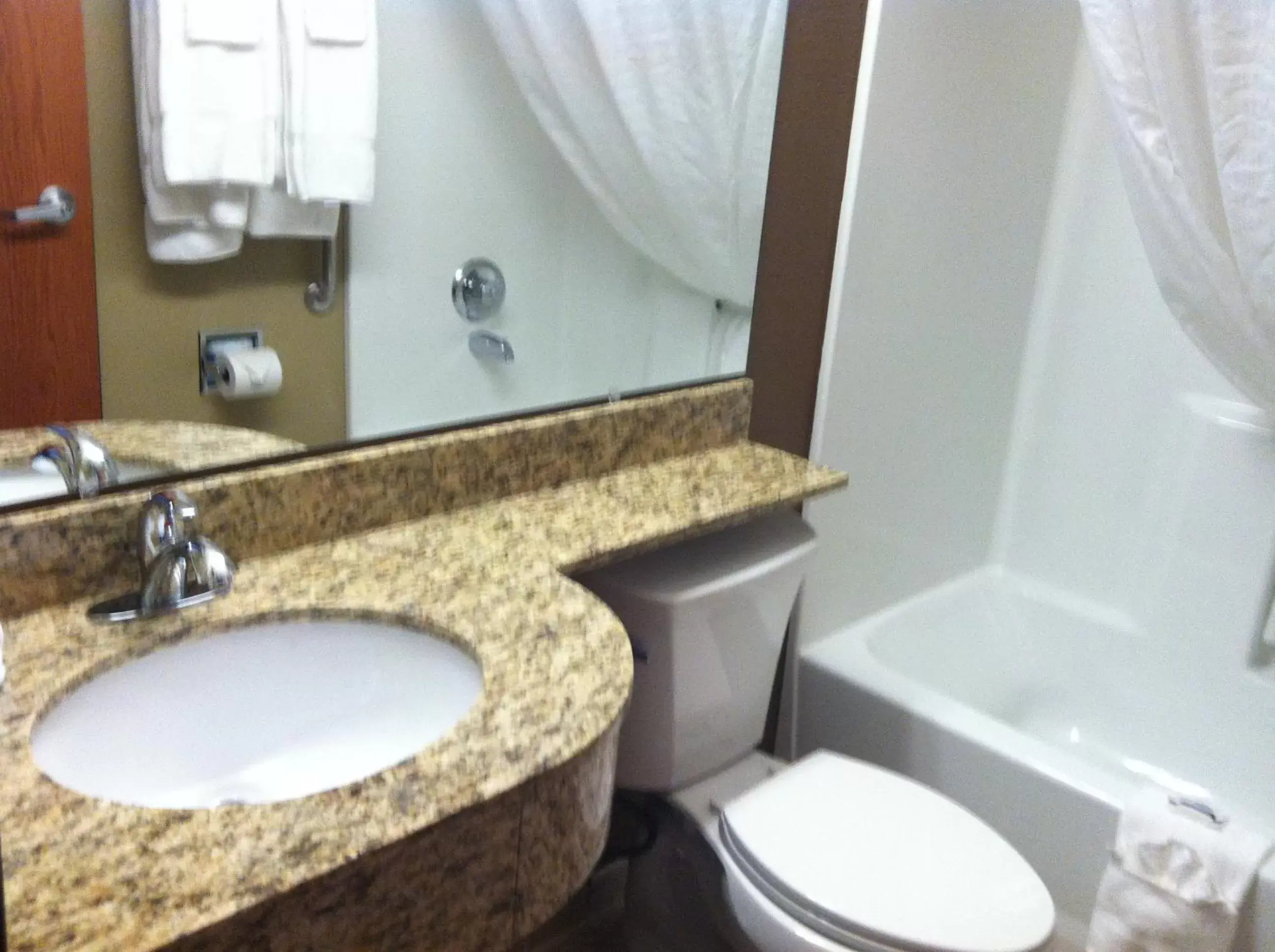 Bathroom in Microtel Inn & Suites Pleasanton