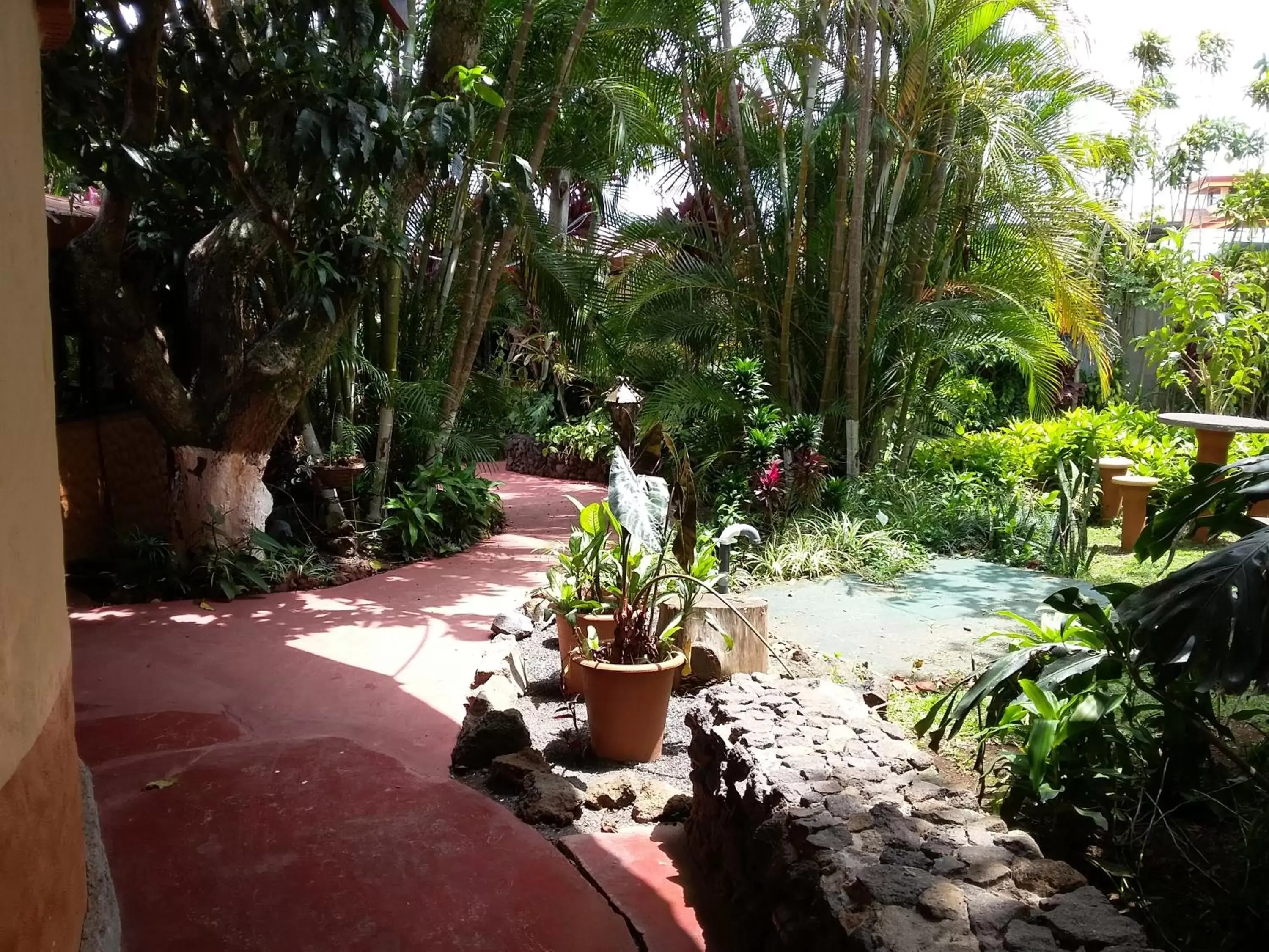 Garden, Patio/Outdoor Area in Hotel Cibeles Resort