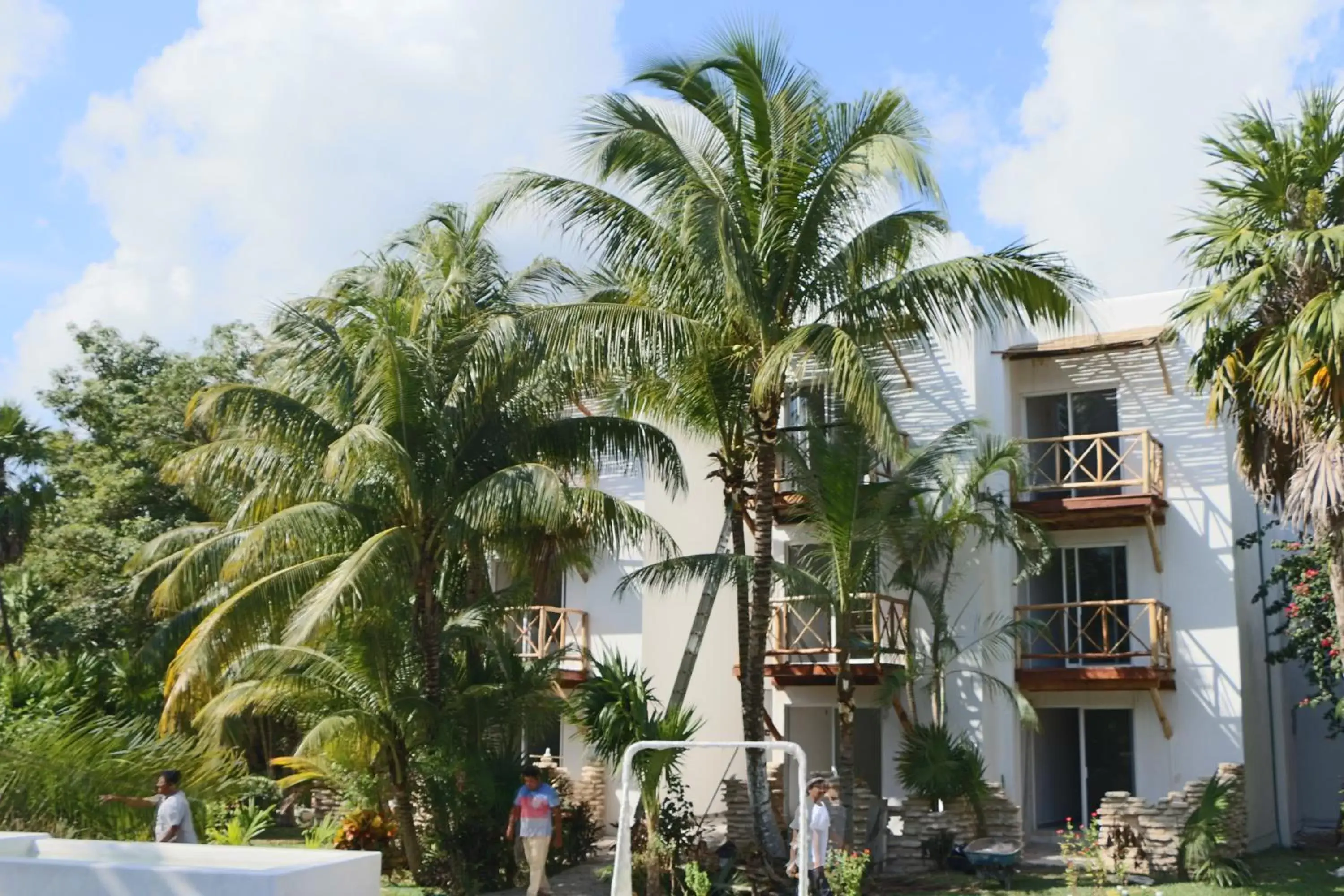 Other, Property Building in WishTulum