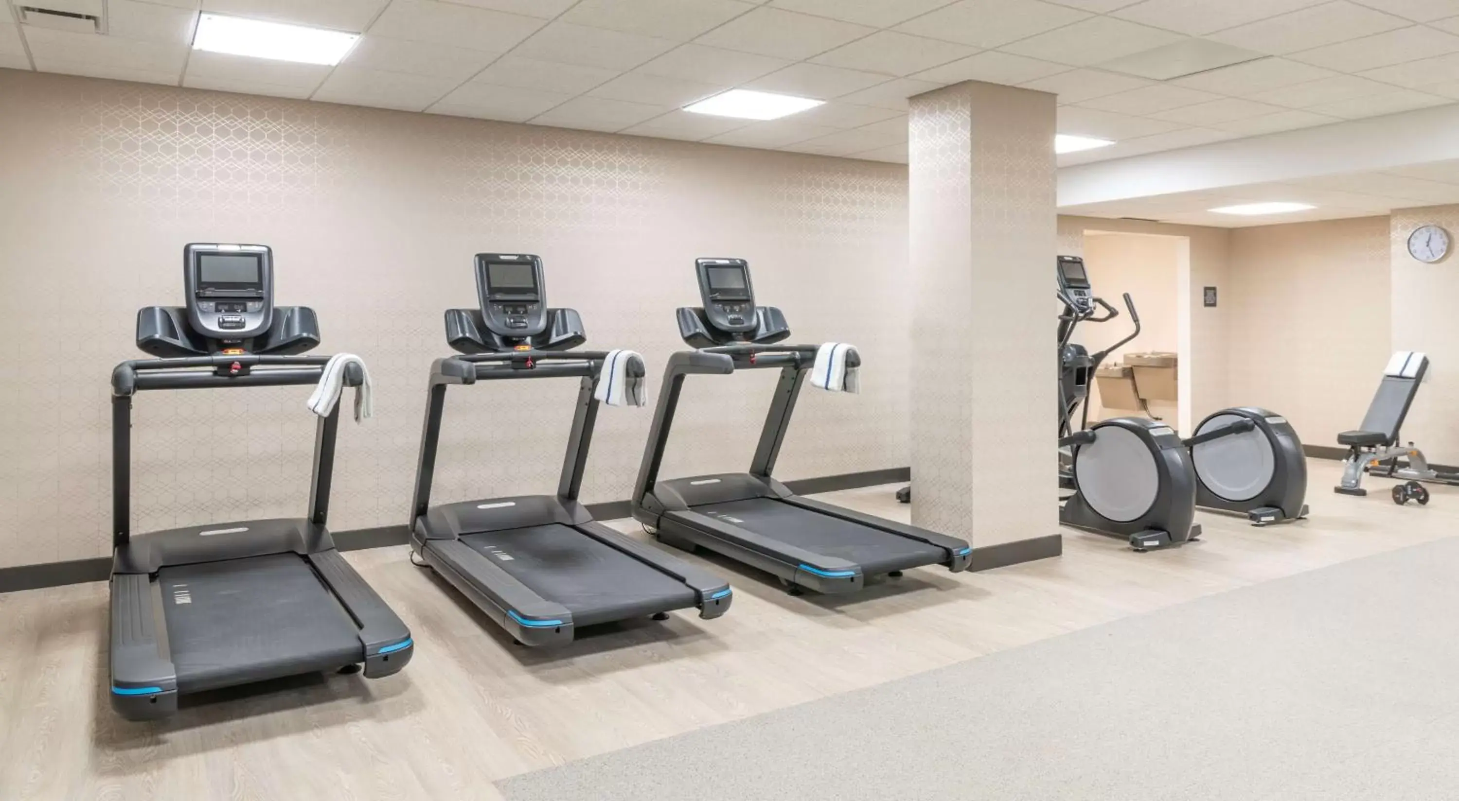 Fitness centre/facilities, Fitness Center/Facilities in Hilton Garden Inn Flint Downtown