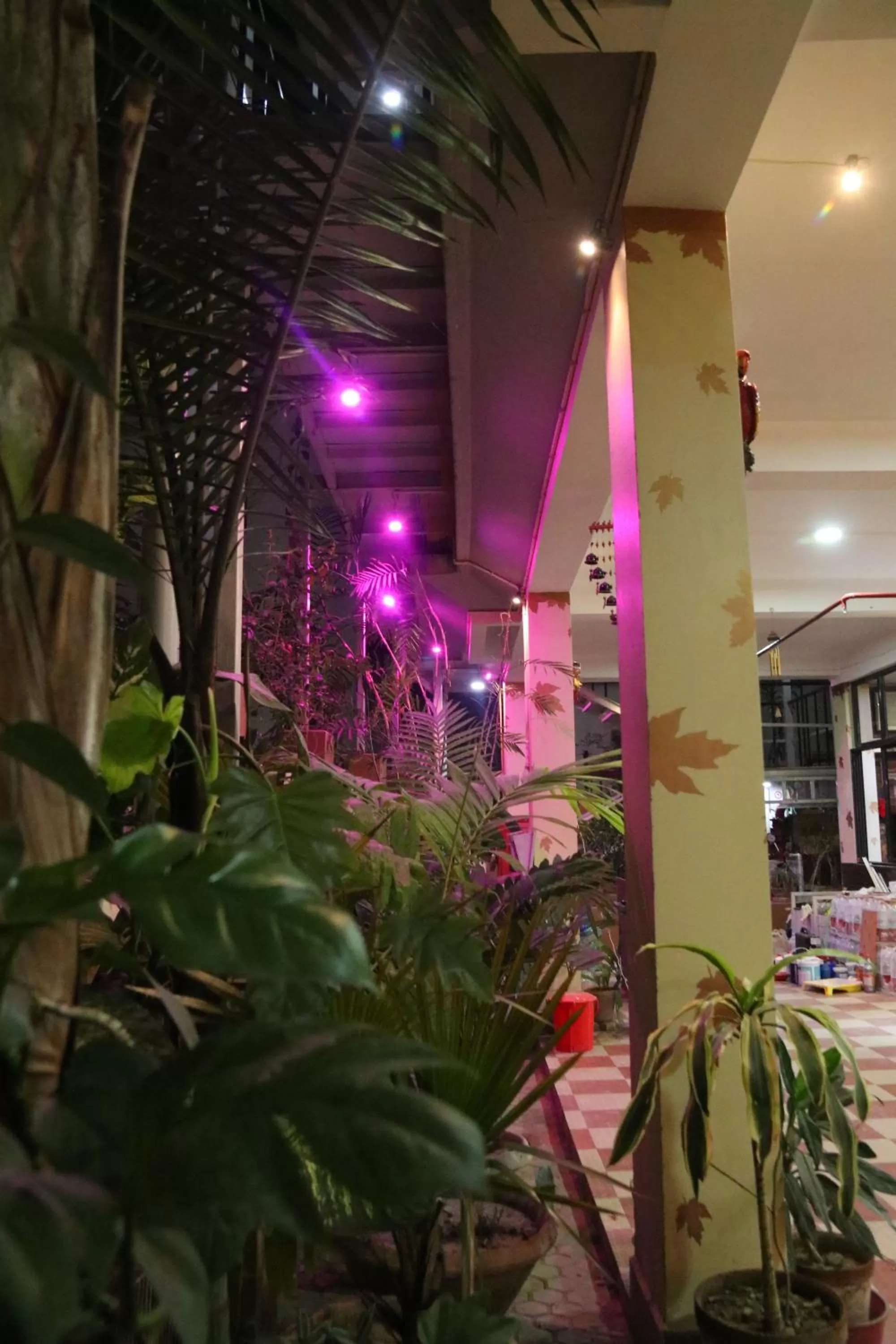 Facade/entrance in The Elite Apartment Hotel